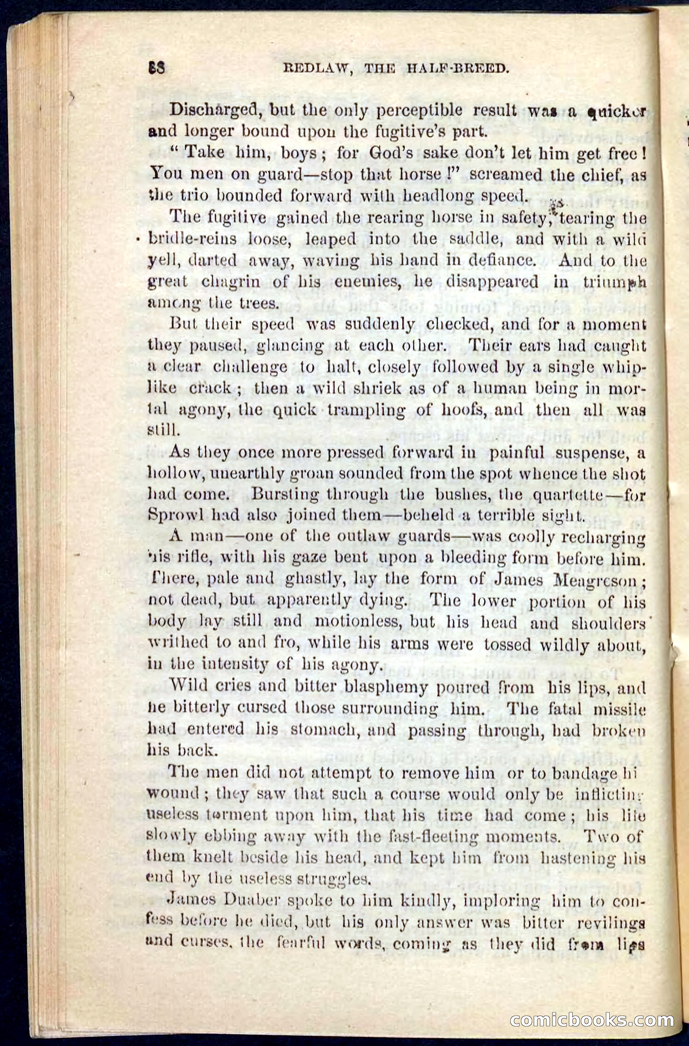 Beadle's Pocket Novels No. 101: Redlaw, the Half-Breed — page 84 of 100