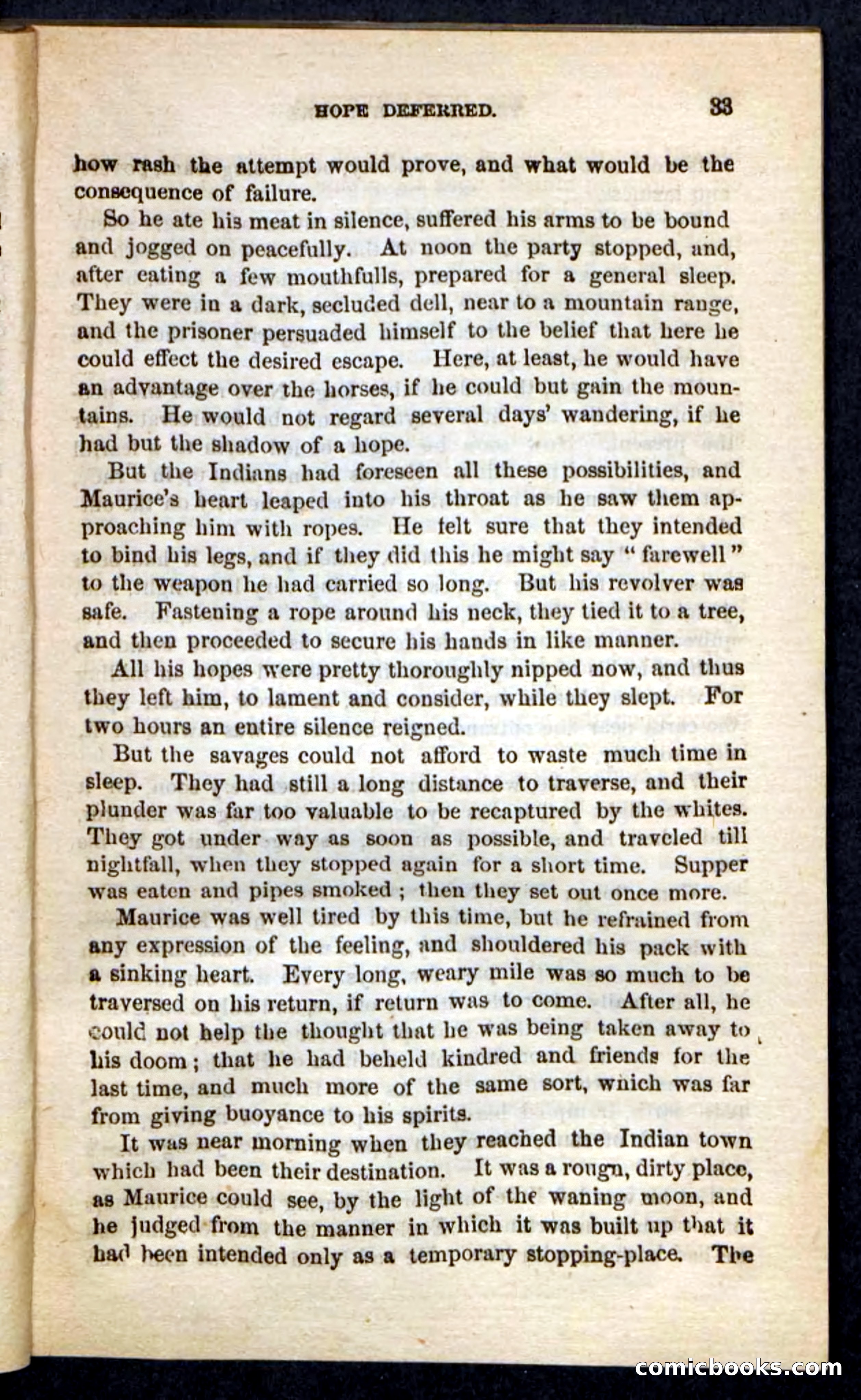 The Indian-Hunters — page 29 of 100
