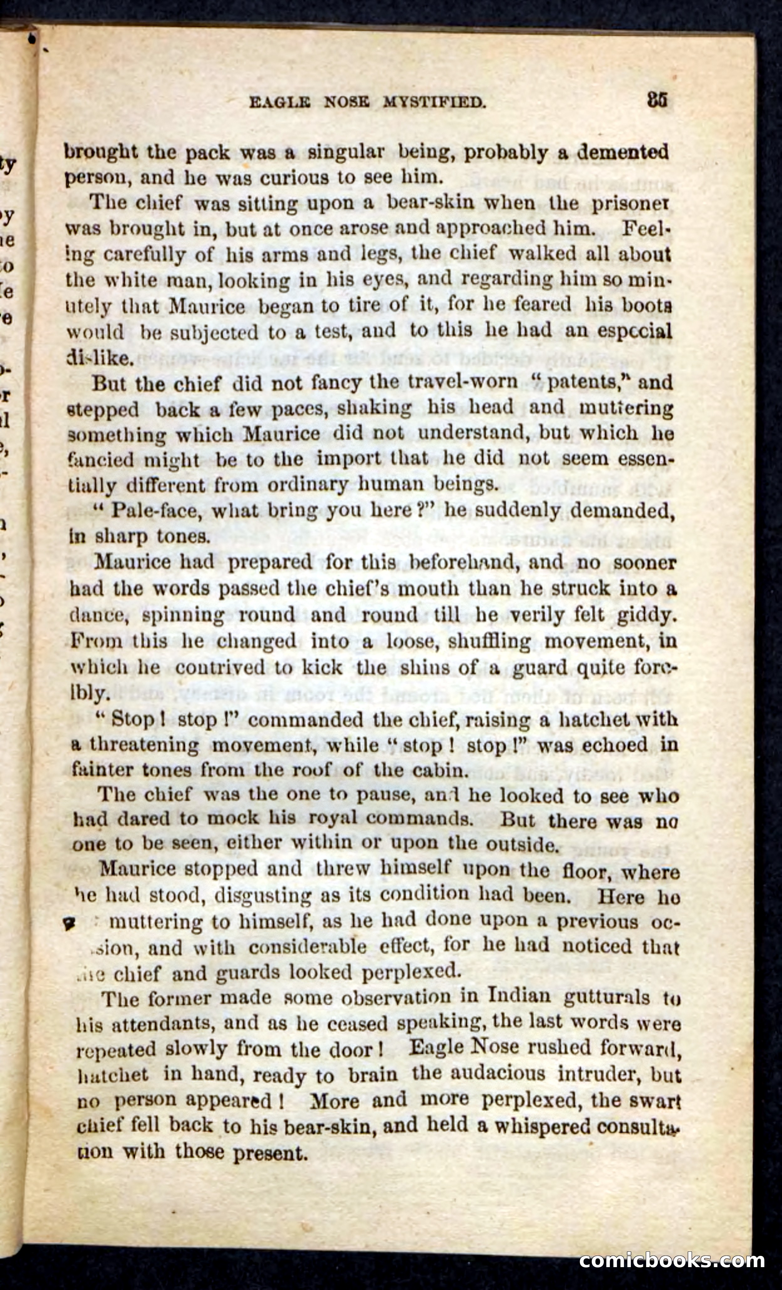 The Indian-Hunters — page 31 of 100