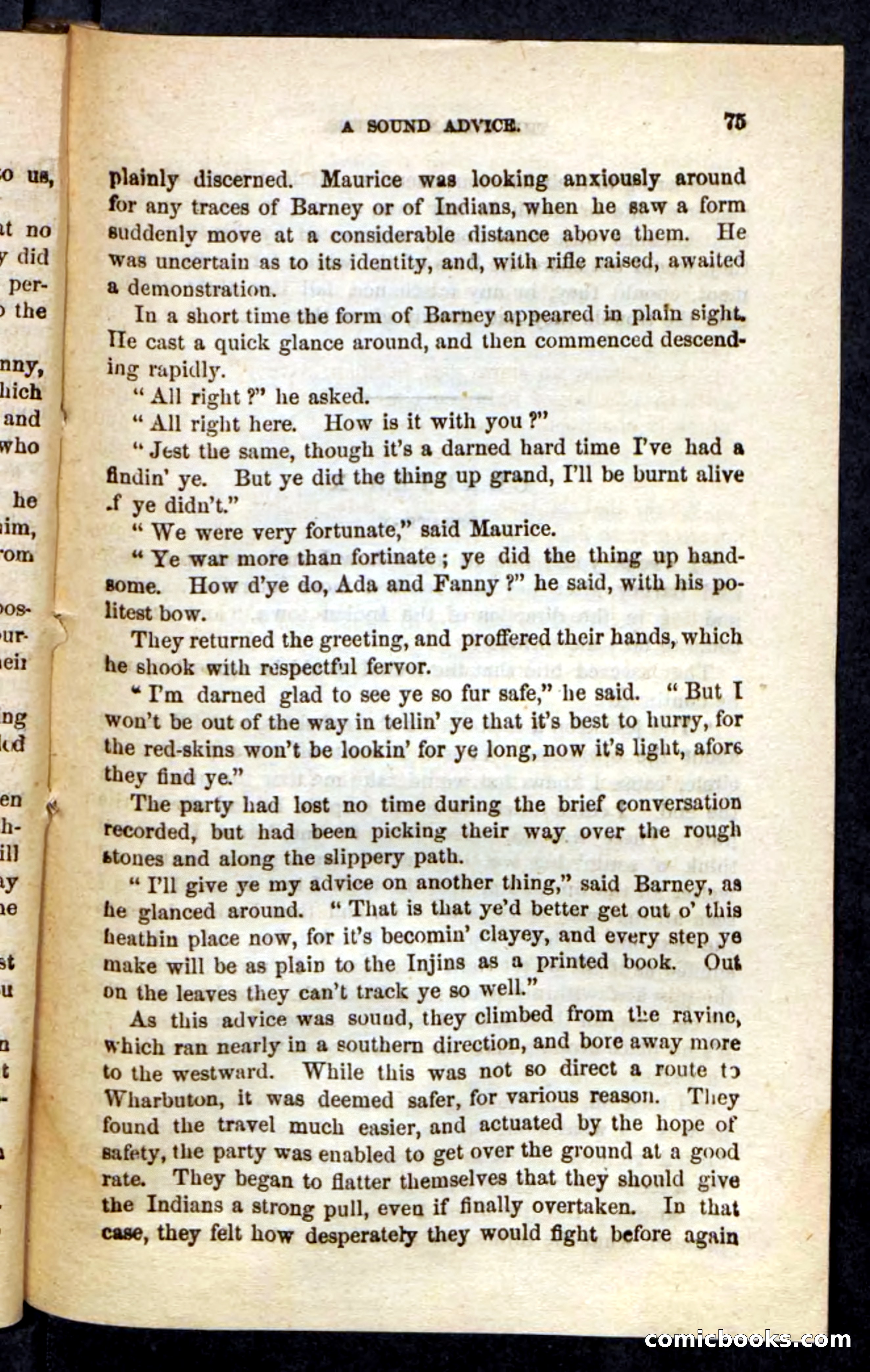The Indian-Hunters — page 71 of 100