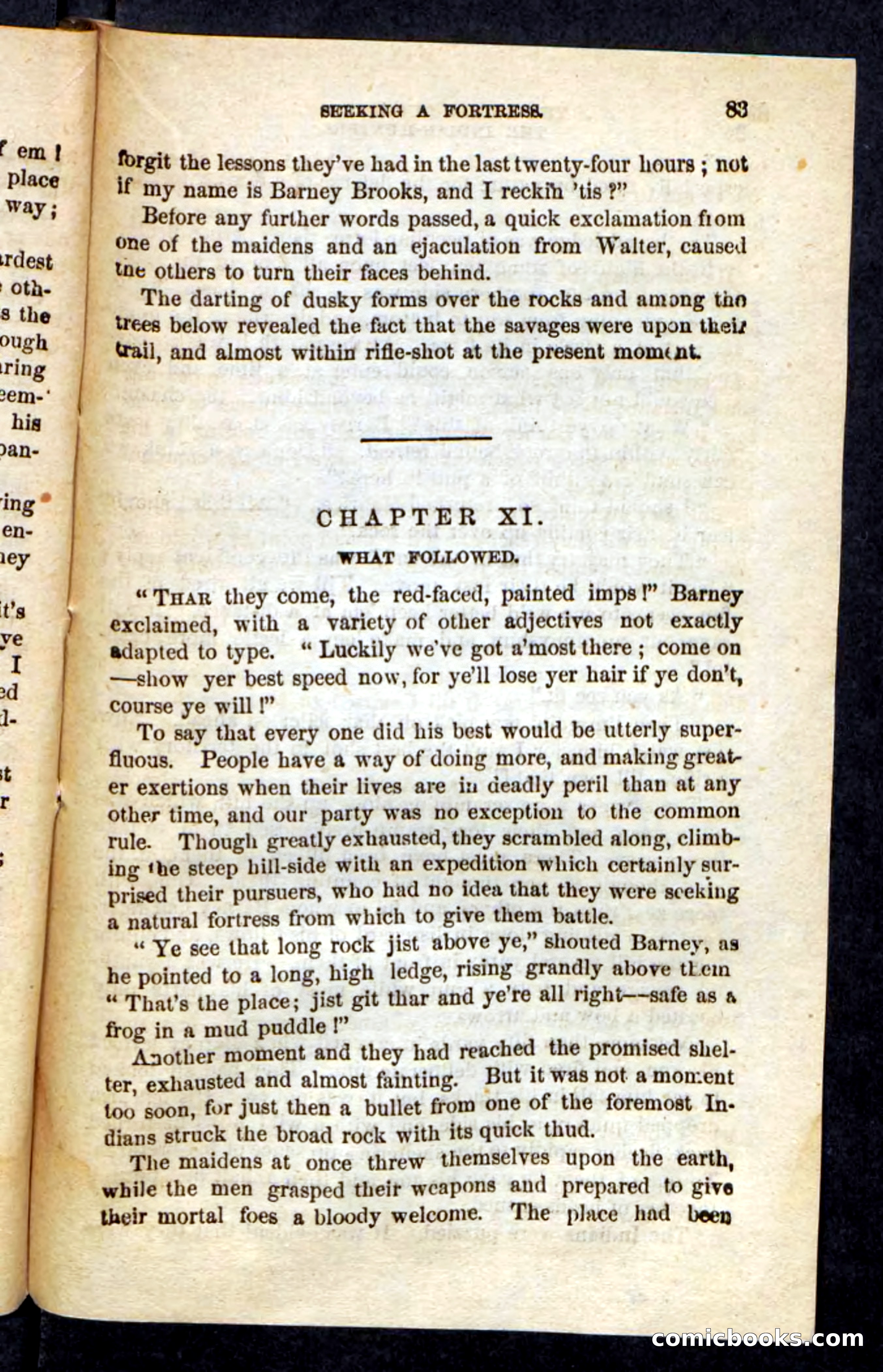 The Indian-Hunters — page 79 of 100
