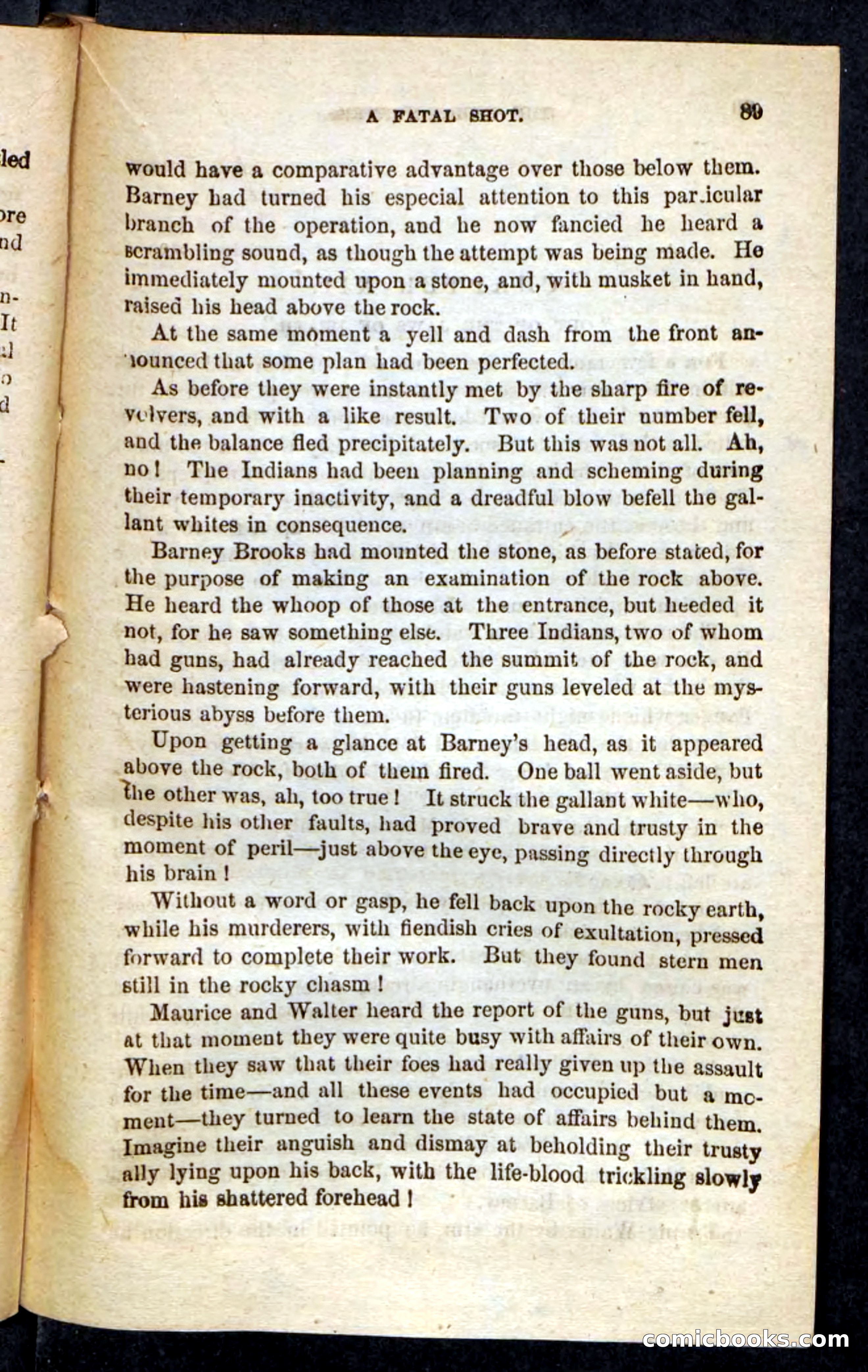 The Indian-Hunters — page 85 of 100