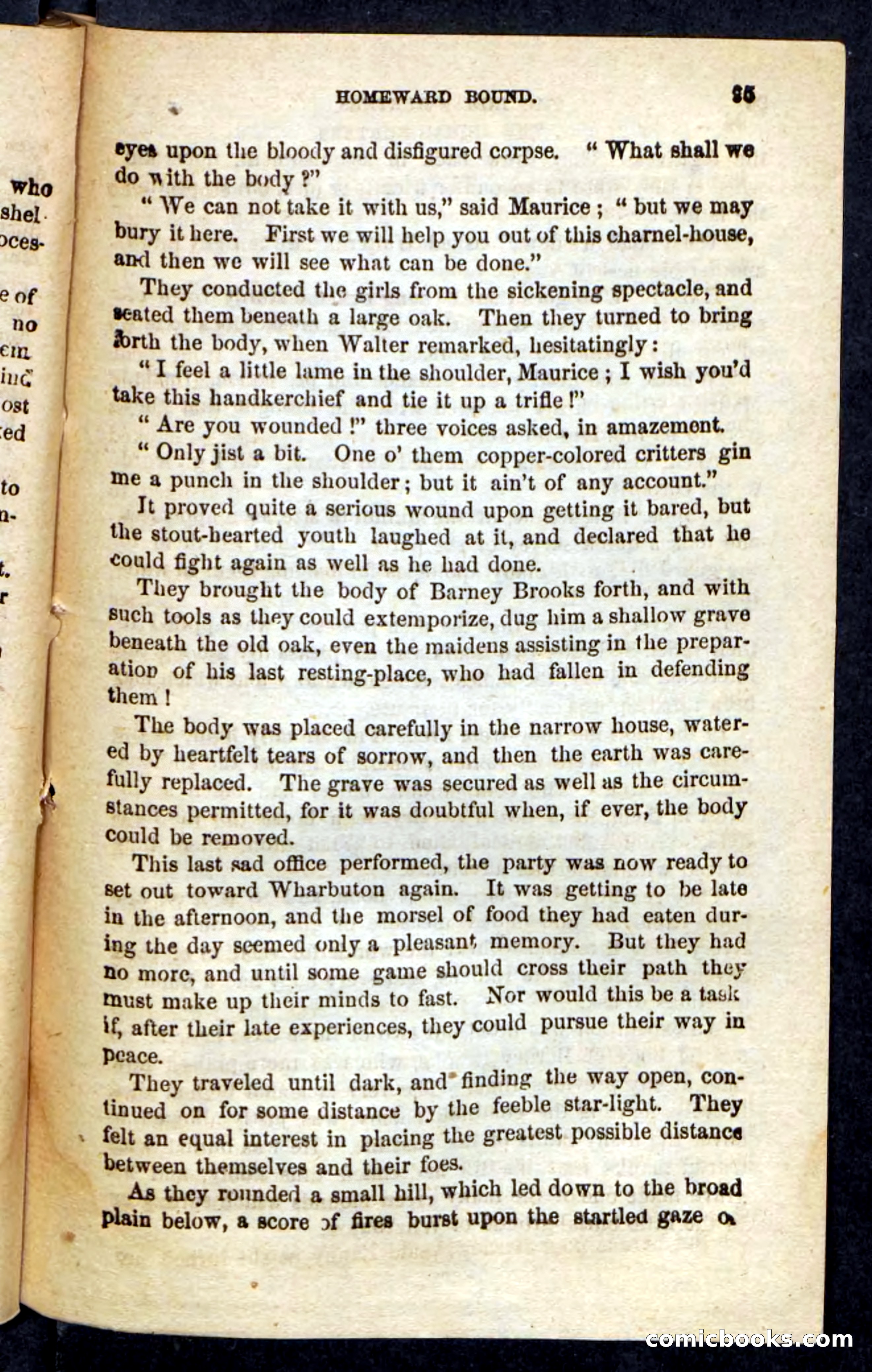 The Indian-Hunters — page 91 of 100