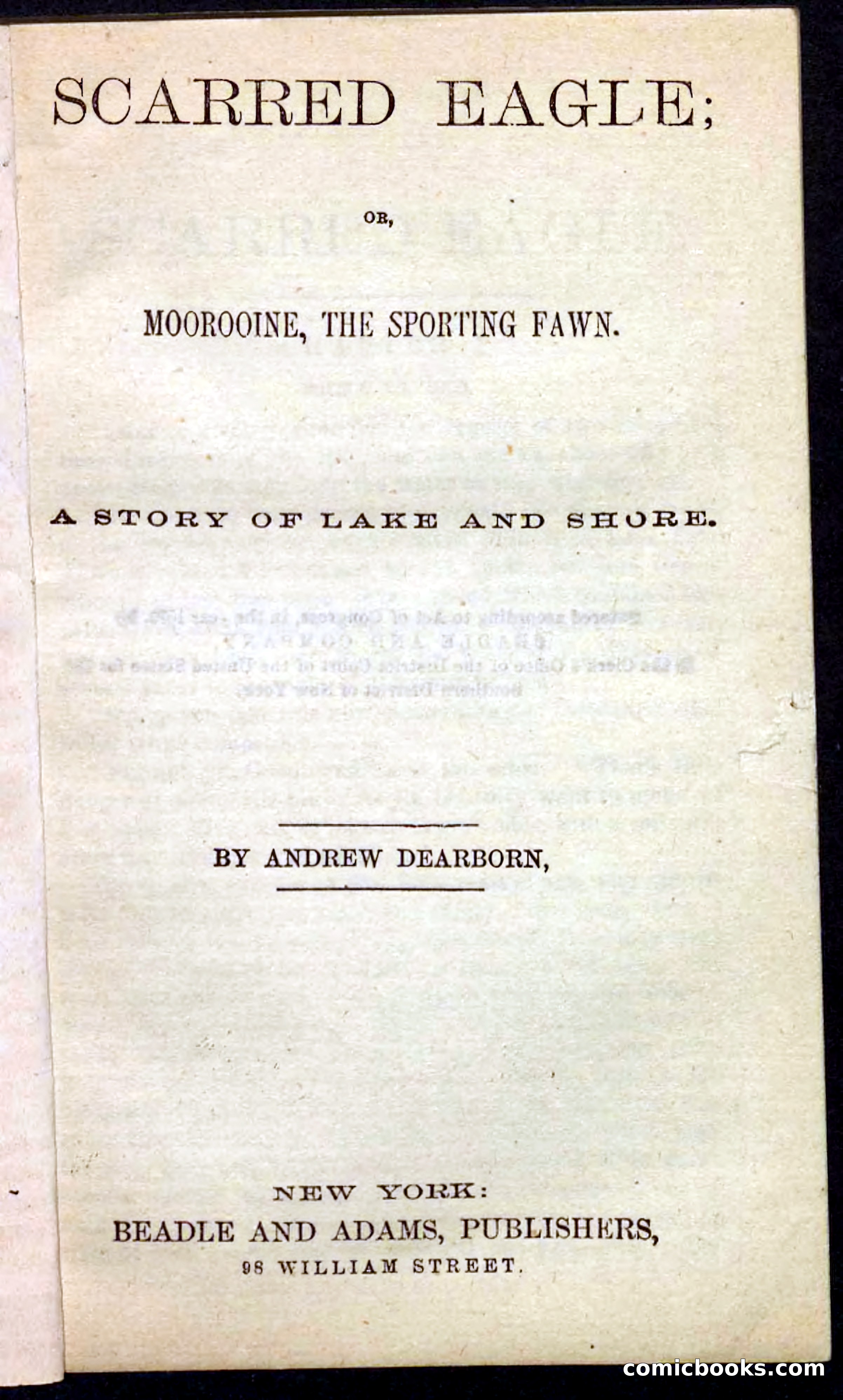 Beadle's Pocket Novels No. 104: Scarred Eagle — page 3 of 100