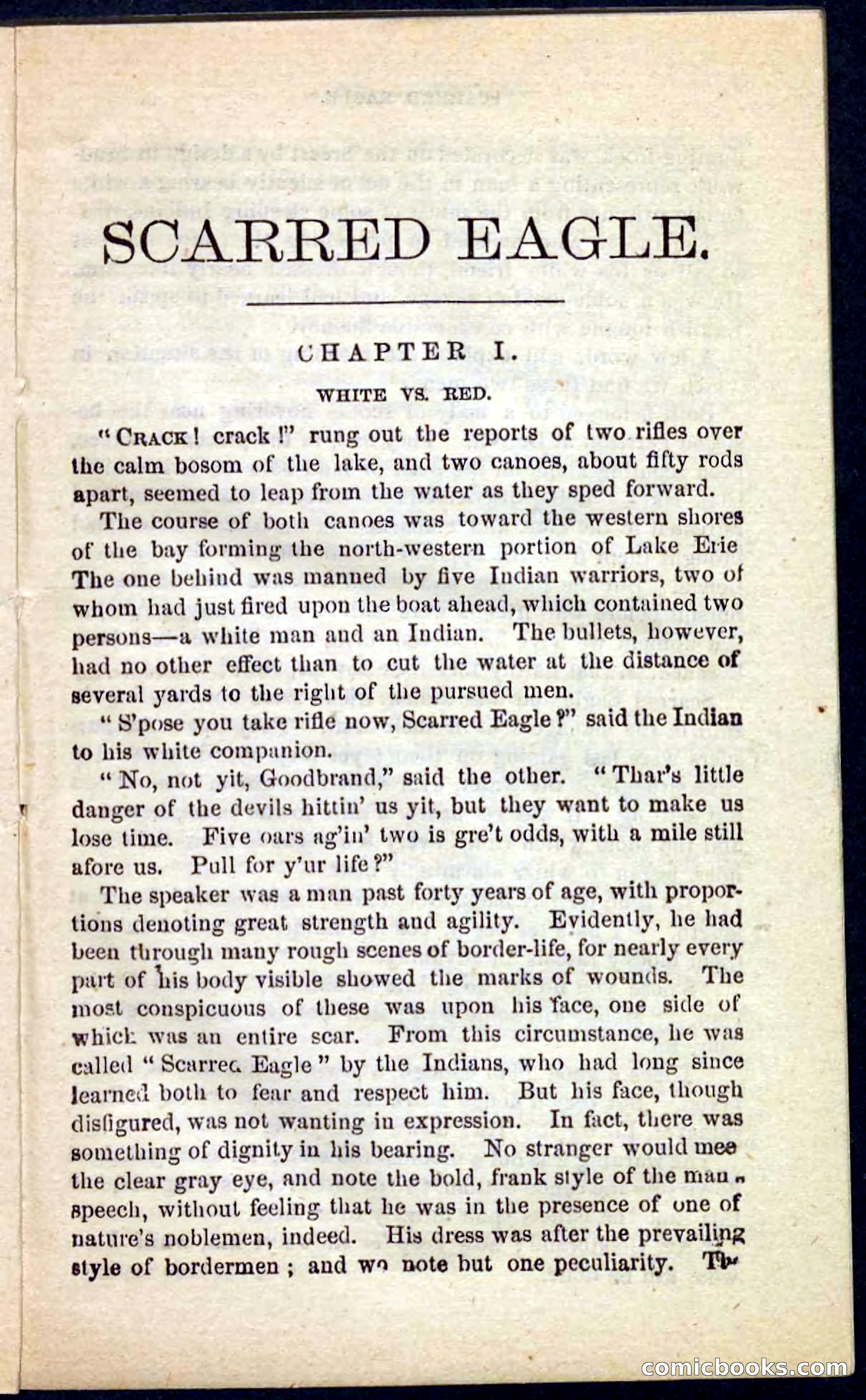Beadle's Pocket Novels No. 104: Scarred Eagle — page 5 of 100