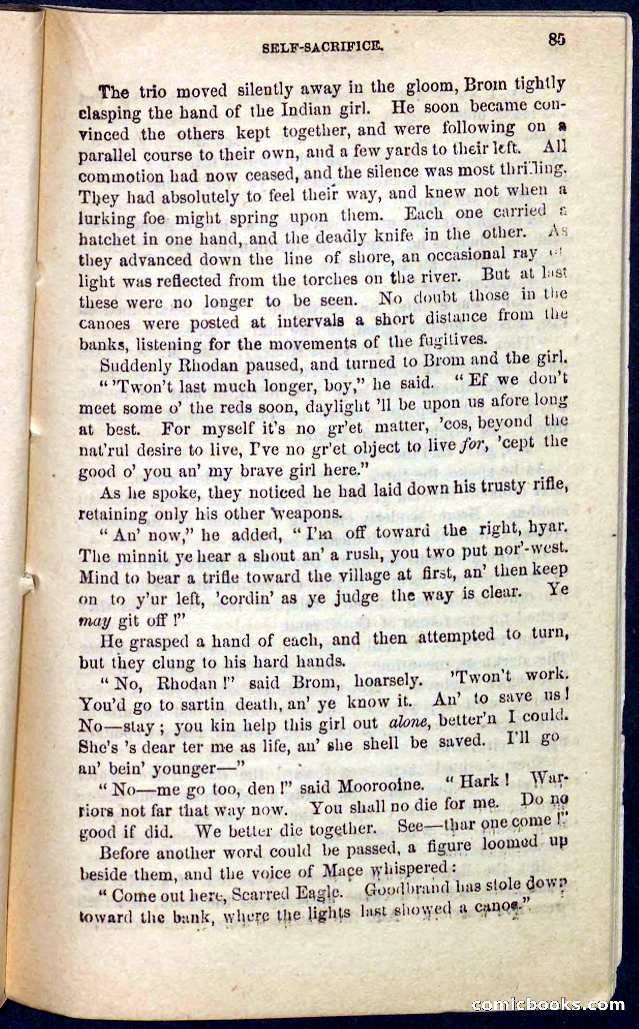 Beadle's Pocket Novels No. 104: Scarred Eagle — page 81 of 100