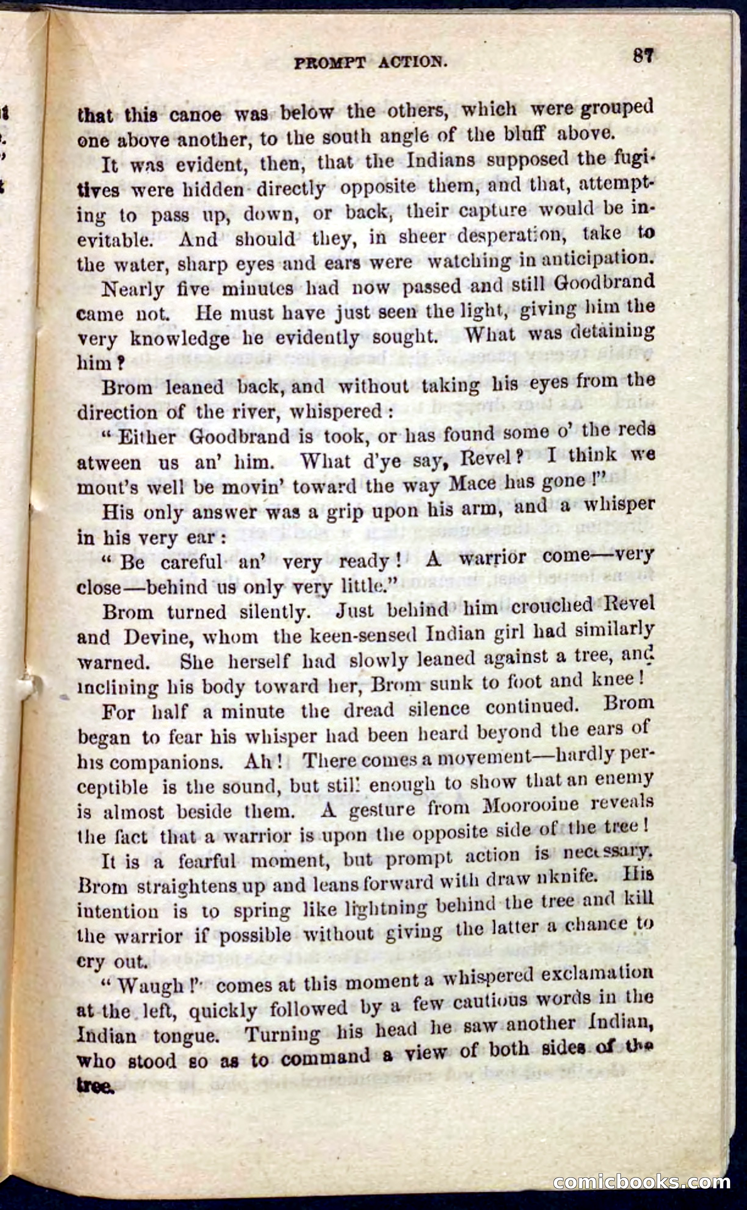 Beadle's Pocket Novels No. 104: Scarred Eagle — page 83 of 100