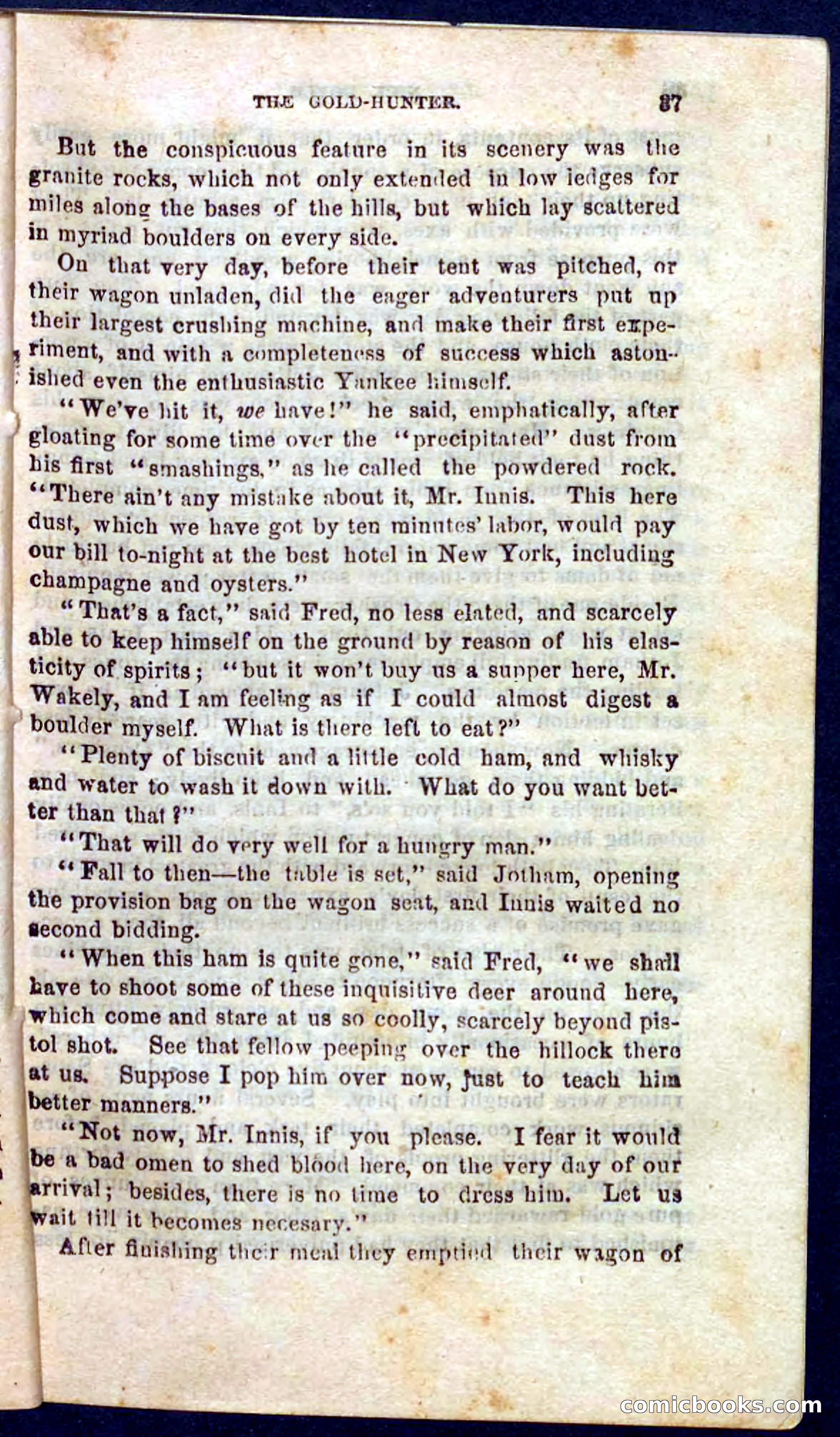Beadle's Pocket Novels No. 105: Nick Doyle, Gold-Hunter — page 33 of 100