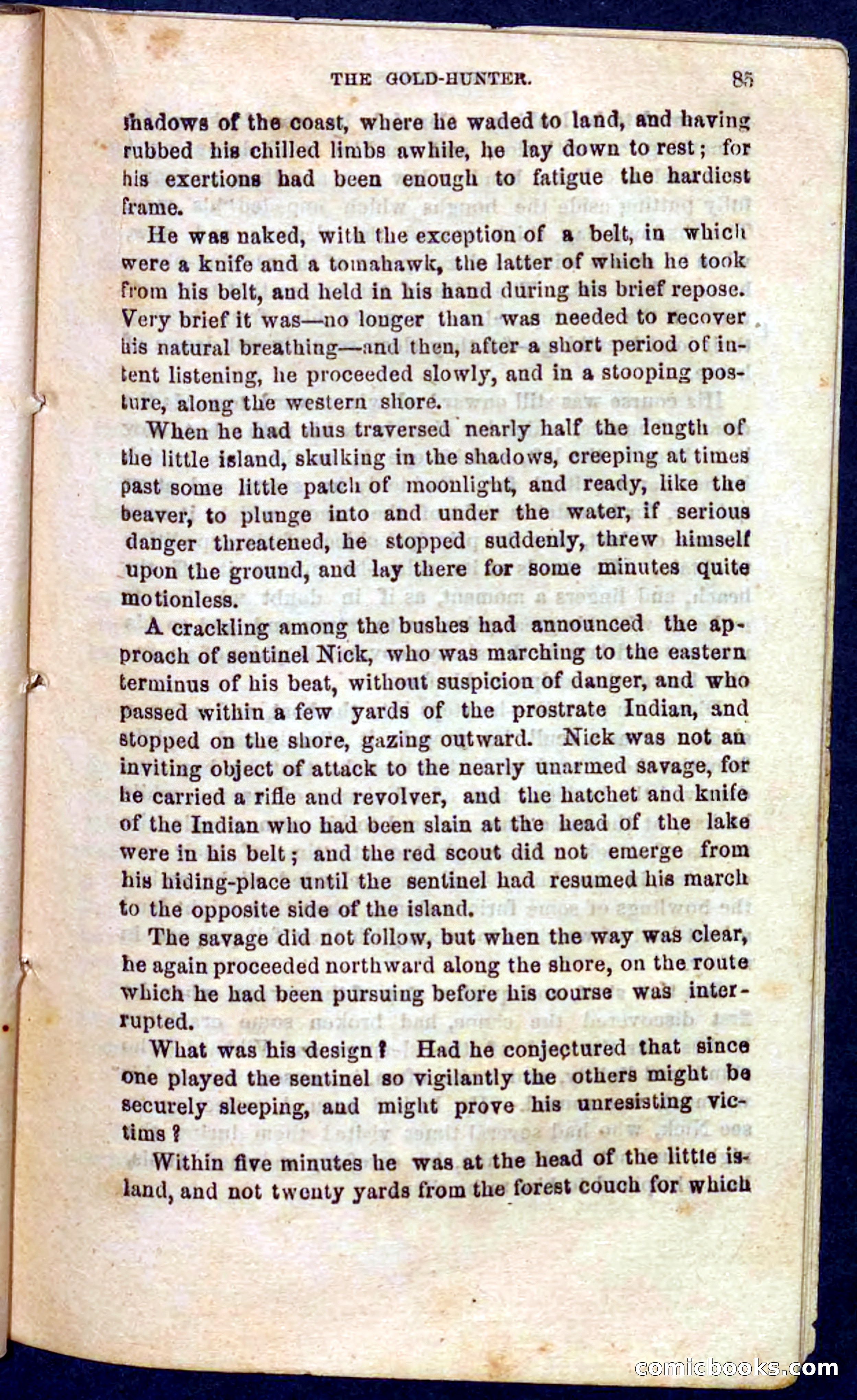 Beadle's Pocket Novels No. 105: Nick Doyle, Gold-Hunter — page 81 of 100