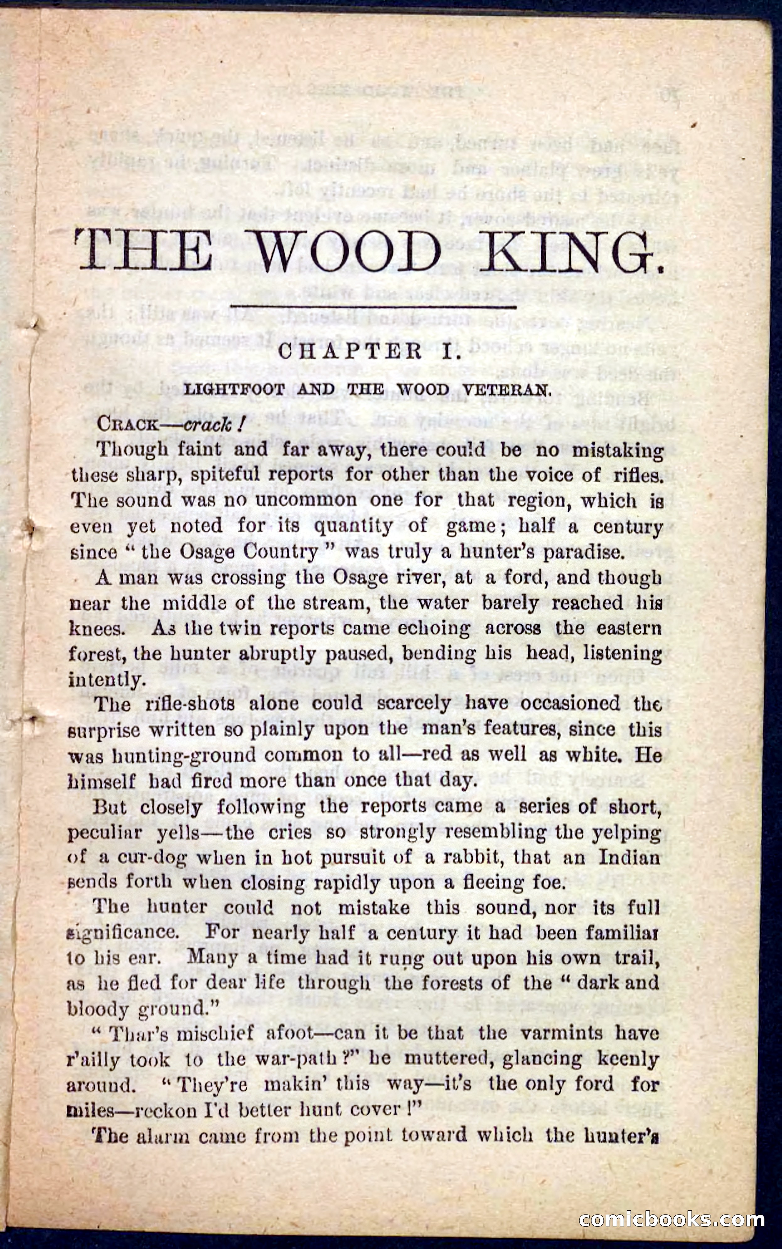 The Wood King — page 5 of 100