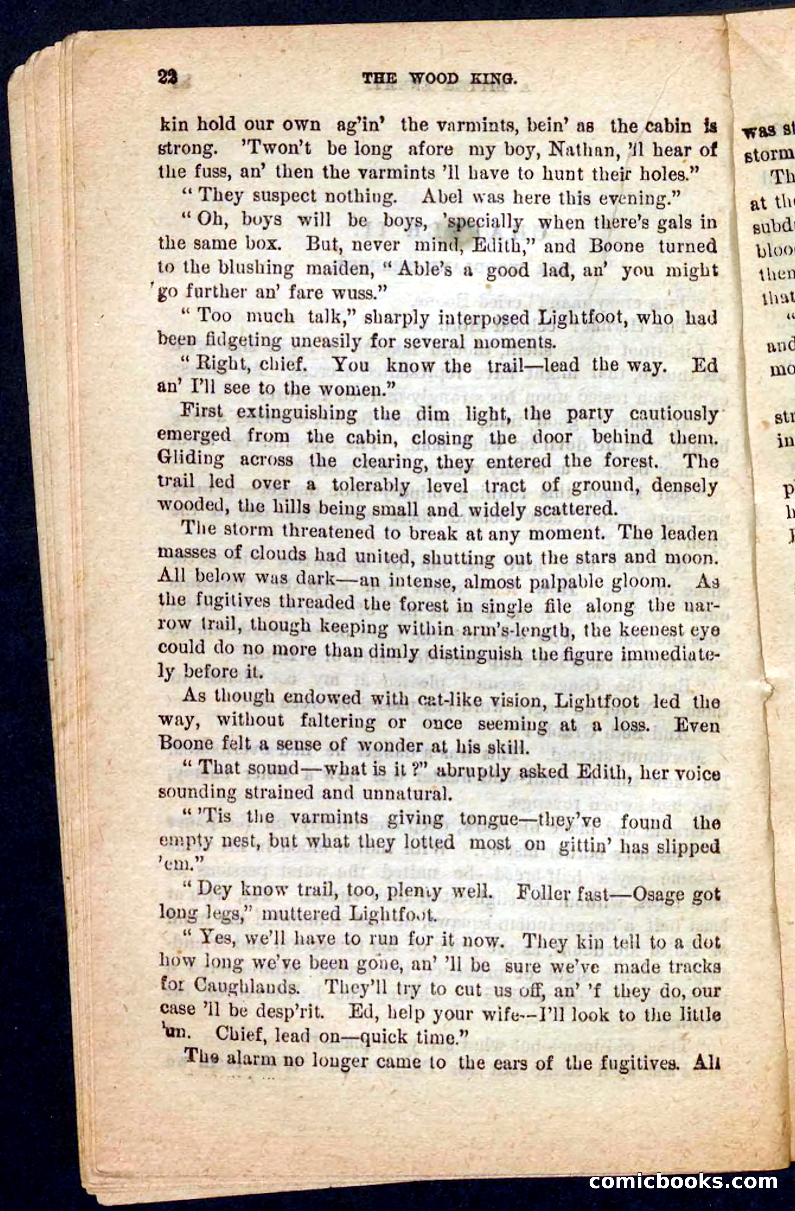 The Wood King — page 18 of 100