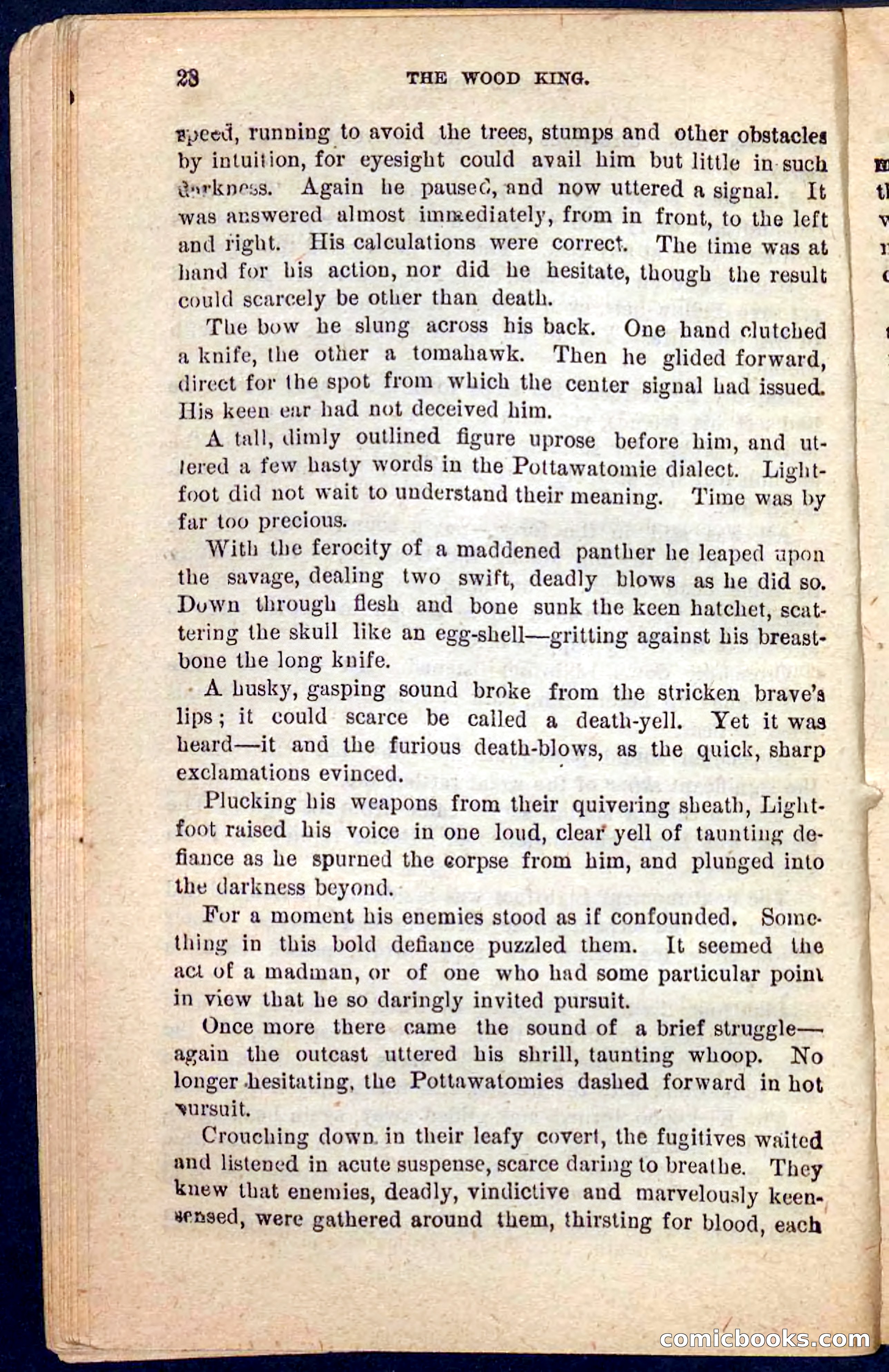 The Wood King — page 24 of 100