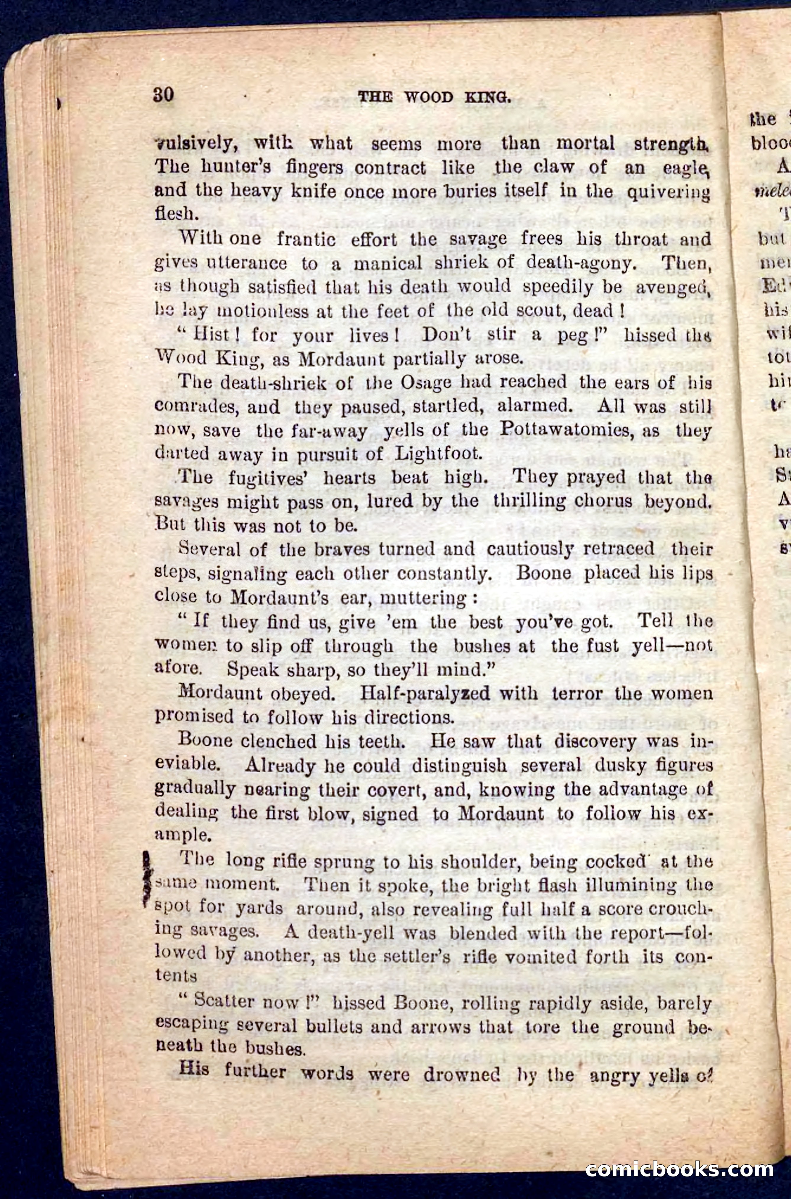 The Wood King — page 26 of 100