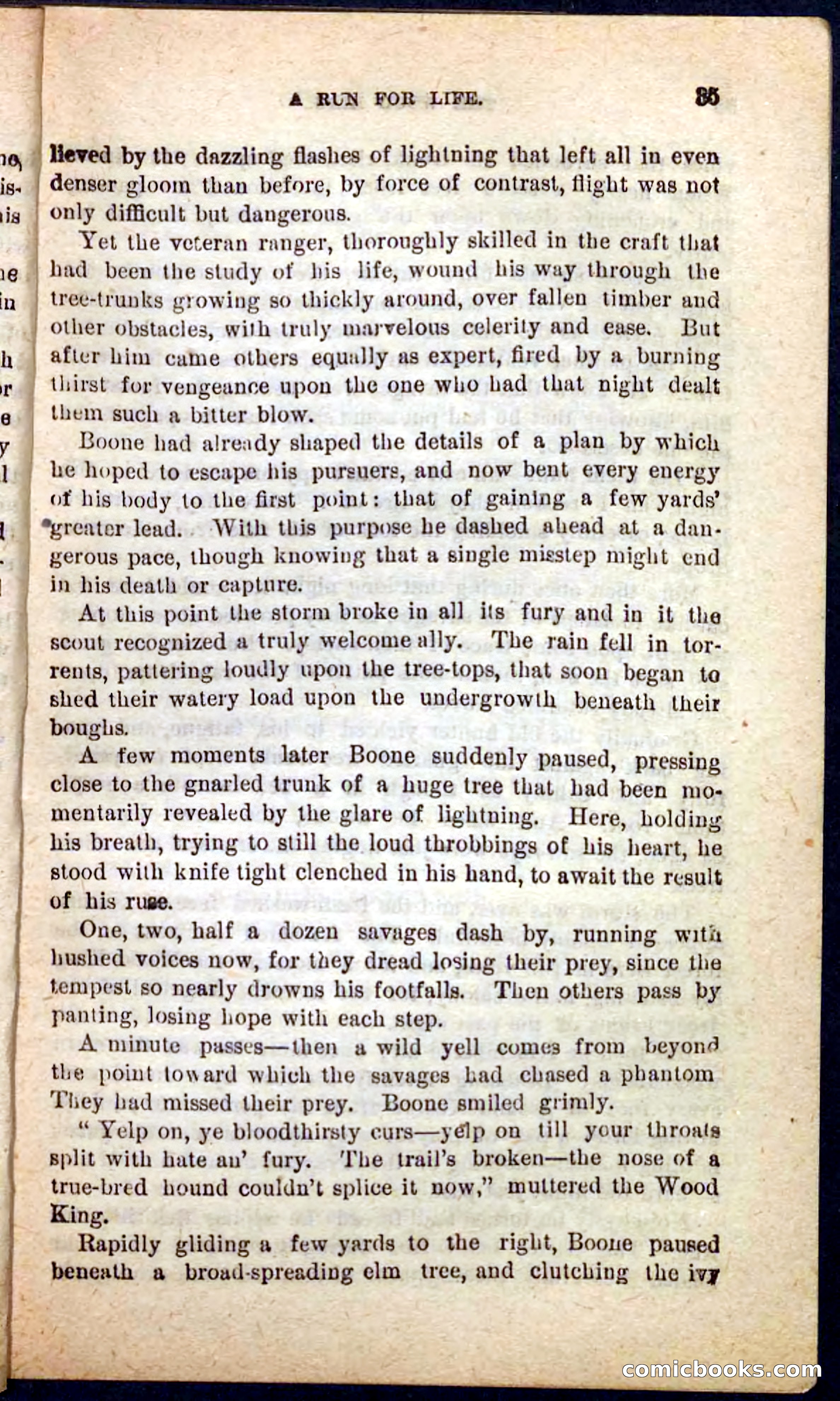 The Wood King — page 31 of 100