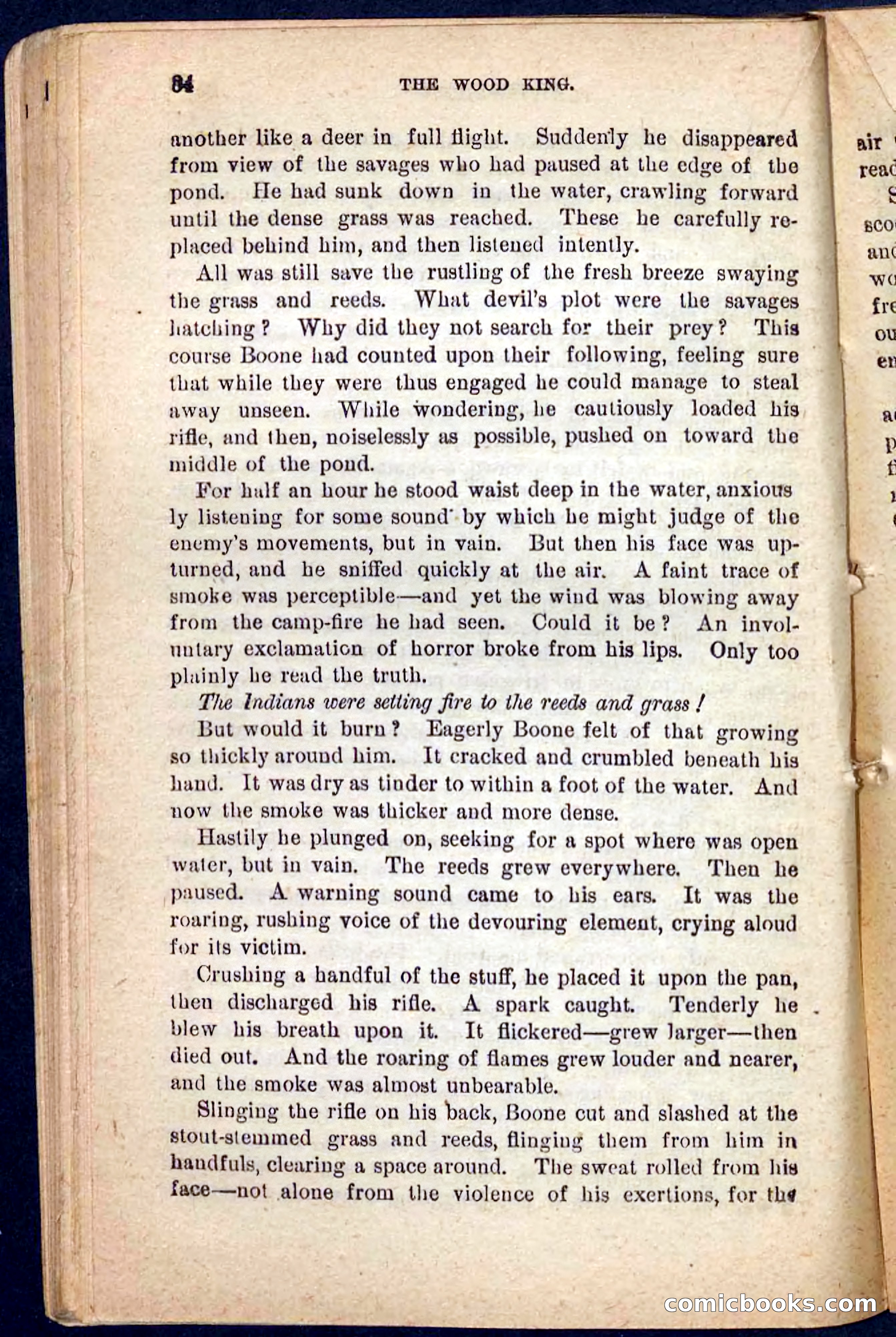 The Wood King — page 80 of 100