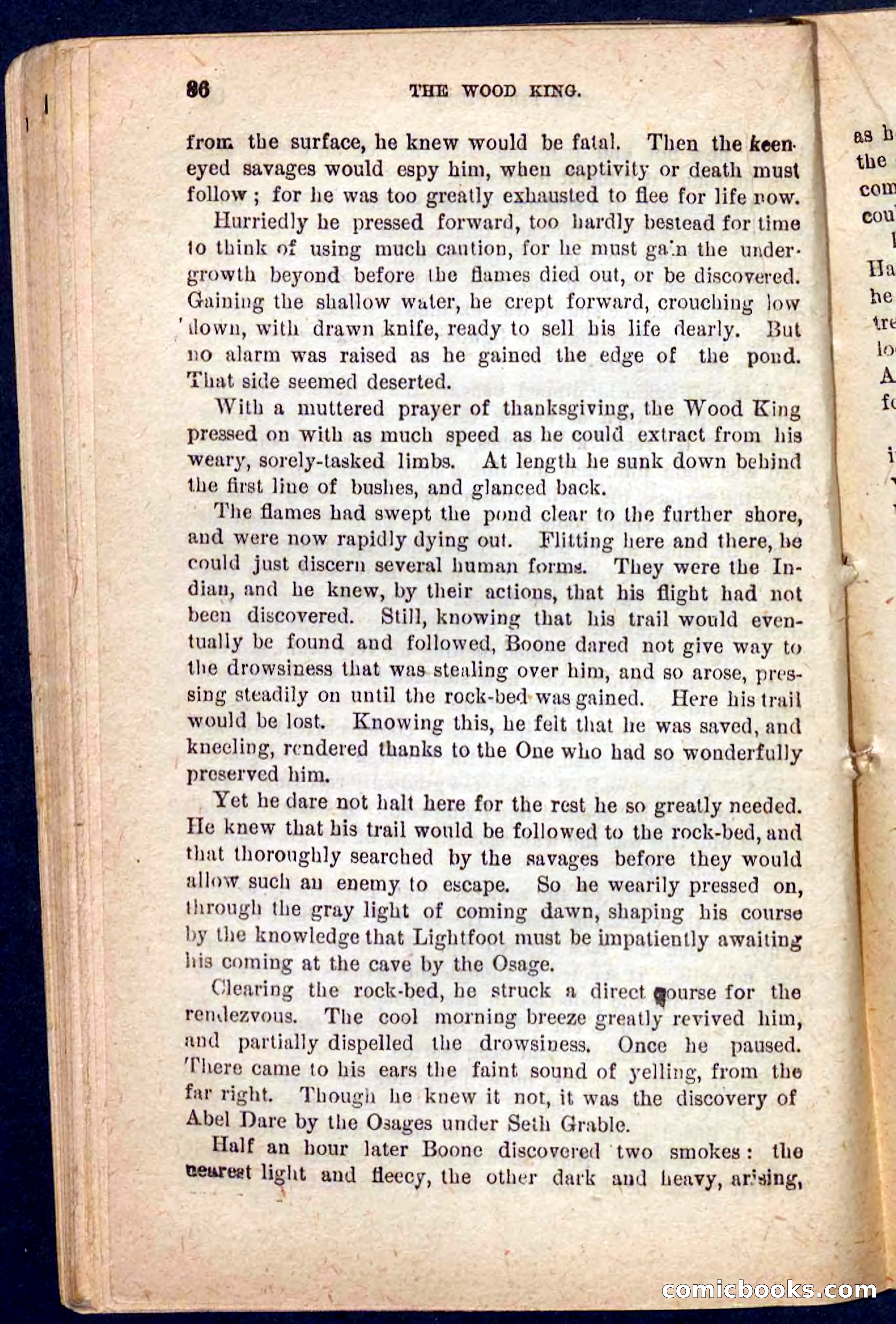 The Wood King — page 82 of 100