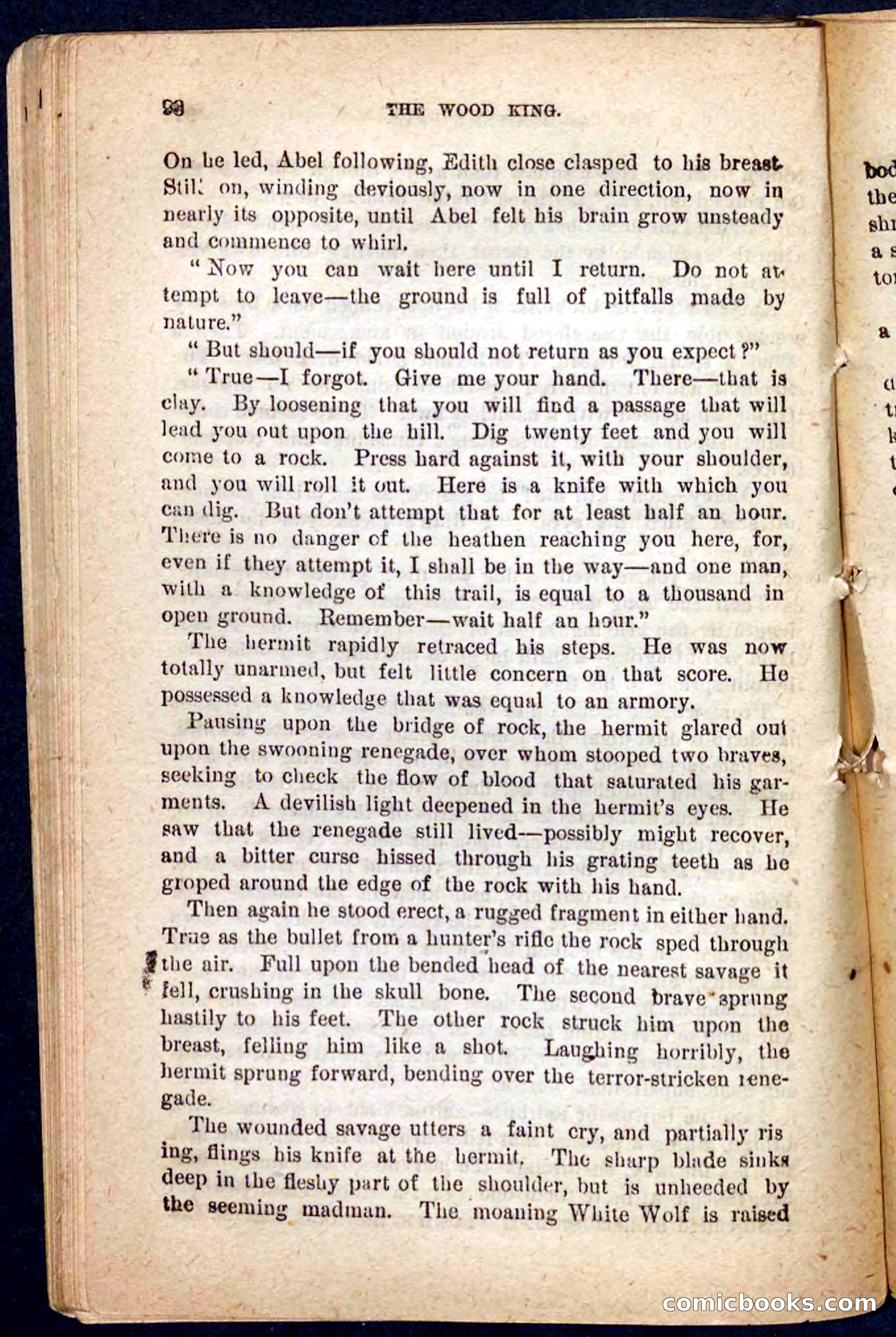 The Wood King — page 94 of 100