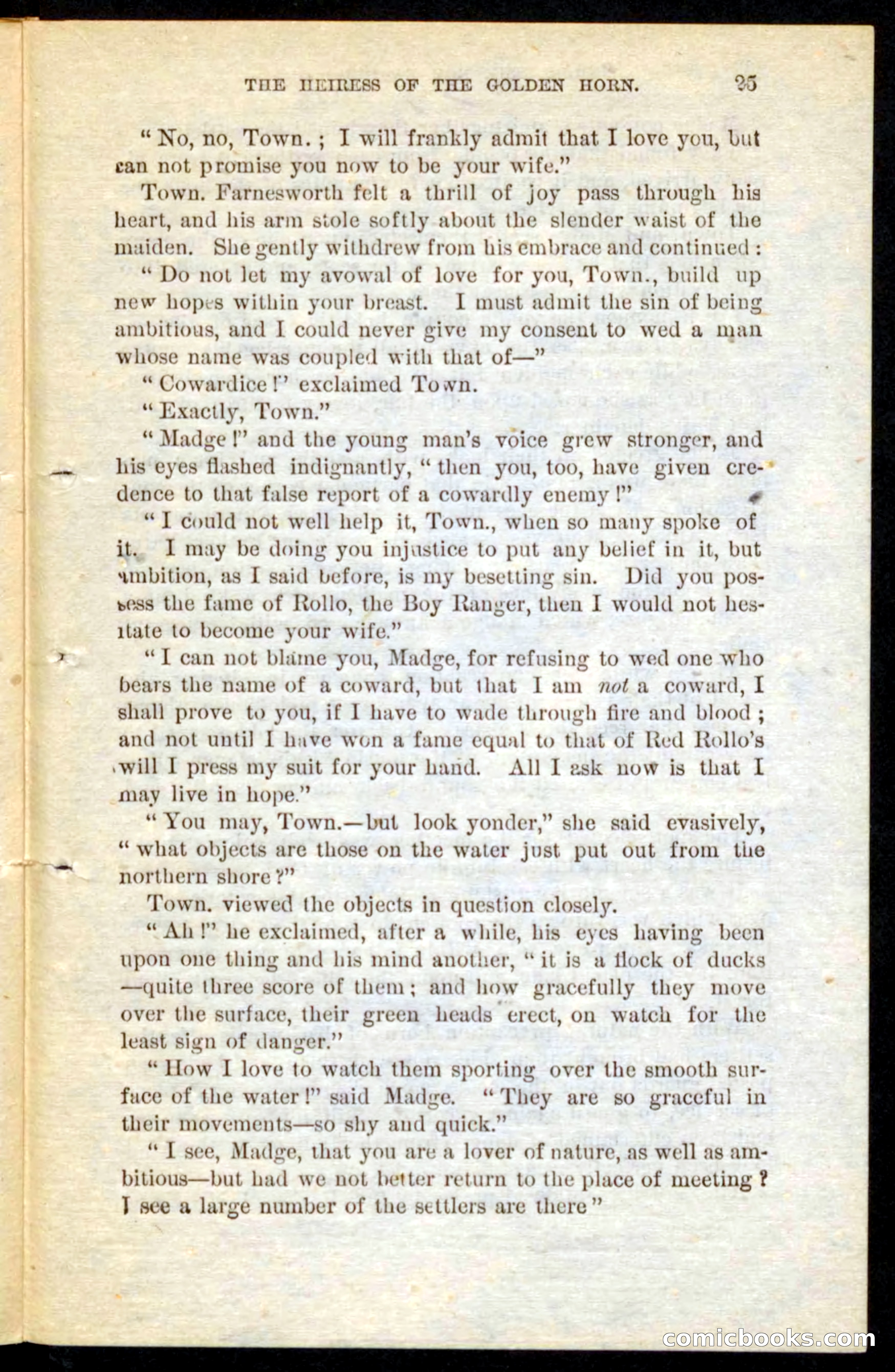 The Boy Ranger — page 23 of 100