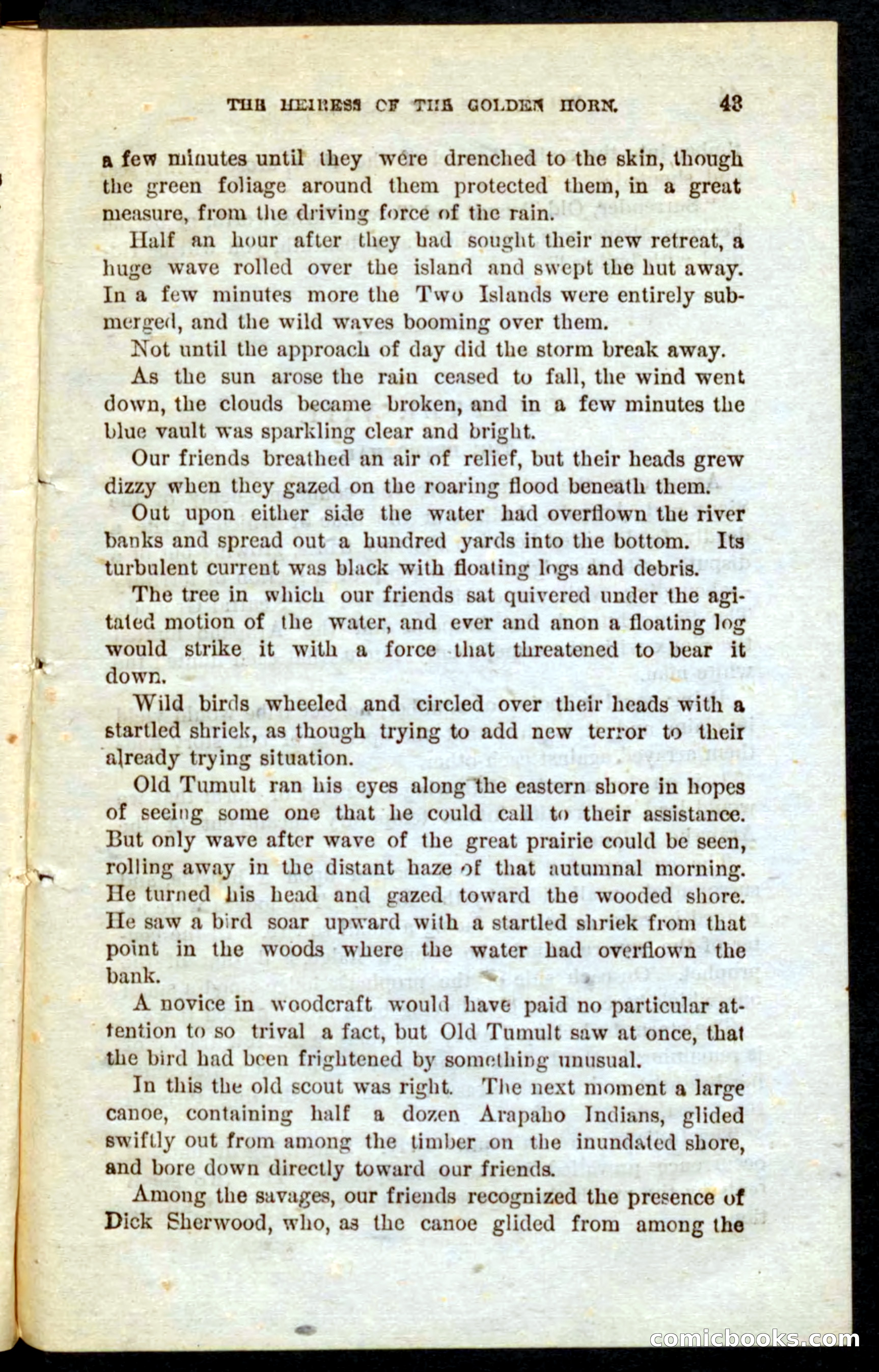 The Boy Ranger — page 41 of 100