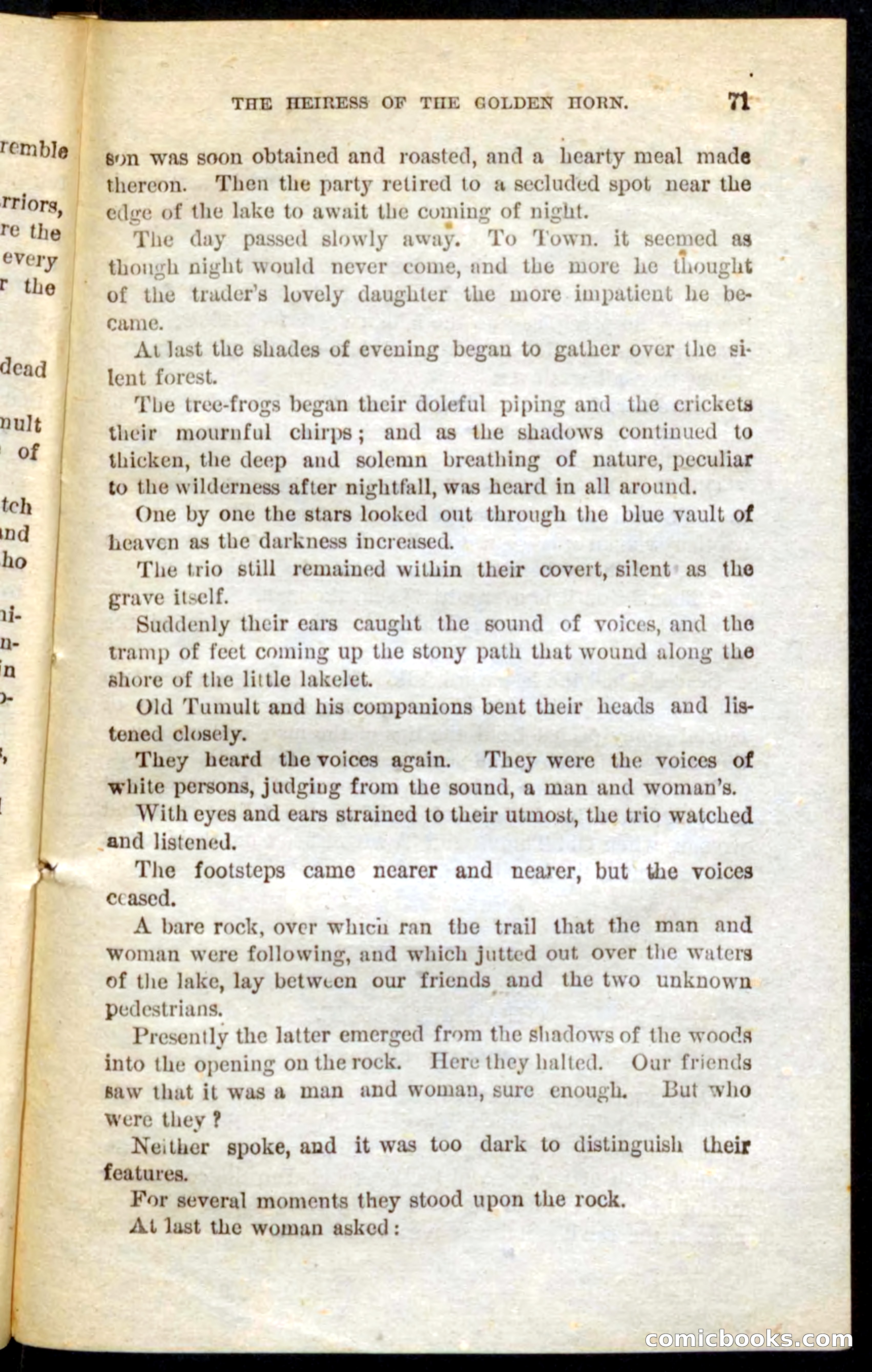 The Boy Ranger — page 69 of 100
