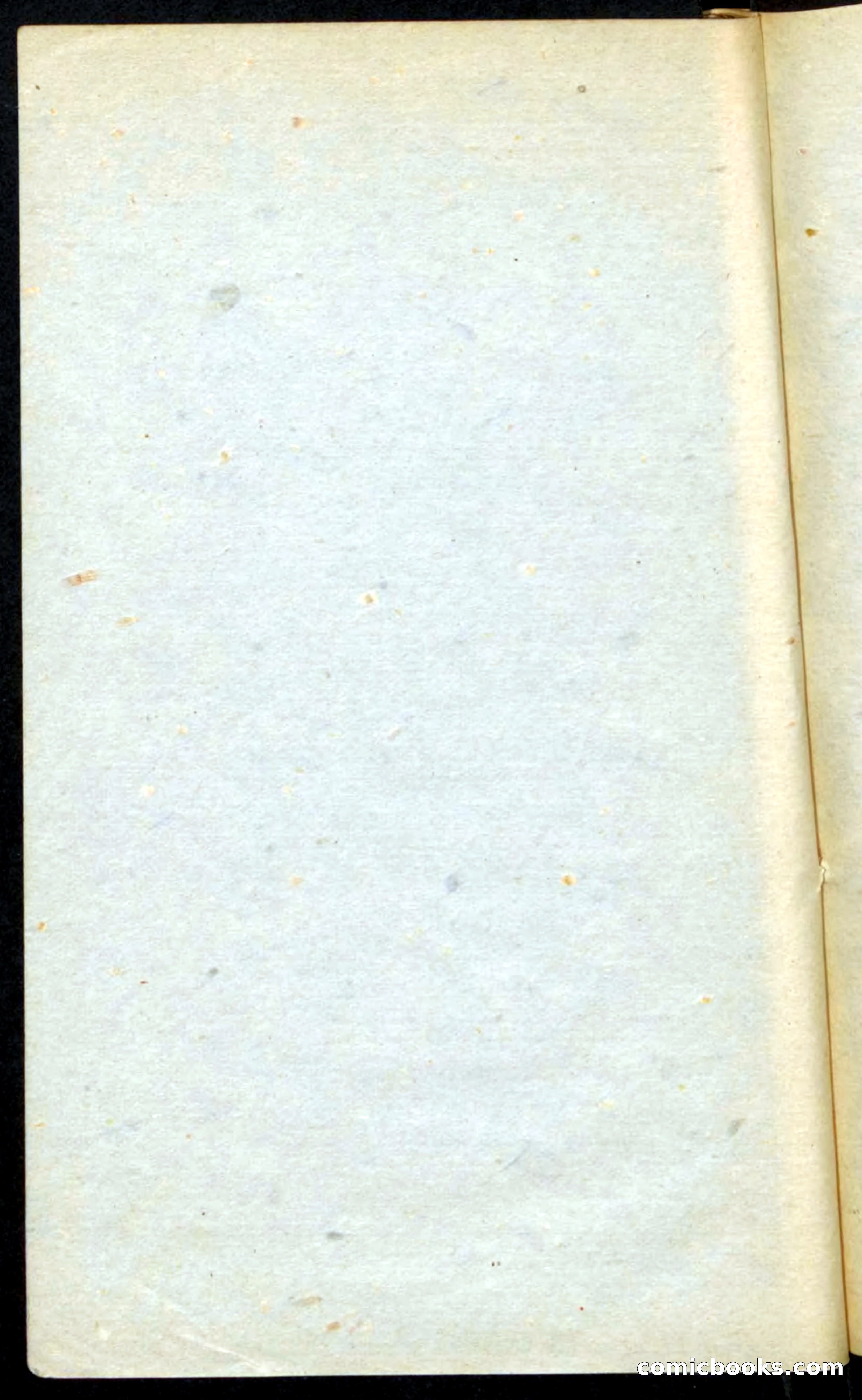 The Boy Ranger — page 96 of 100