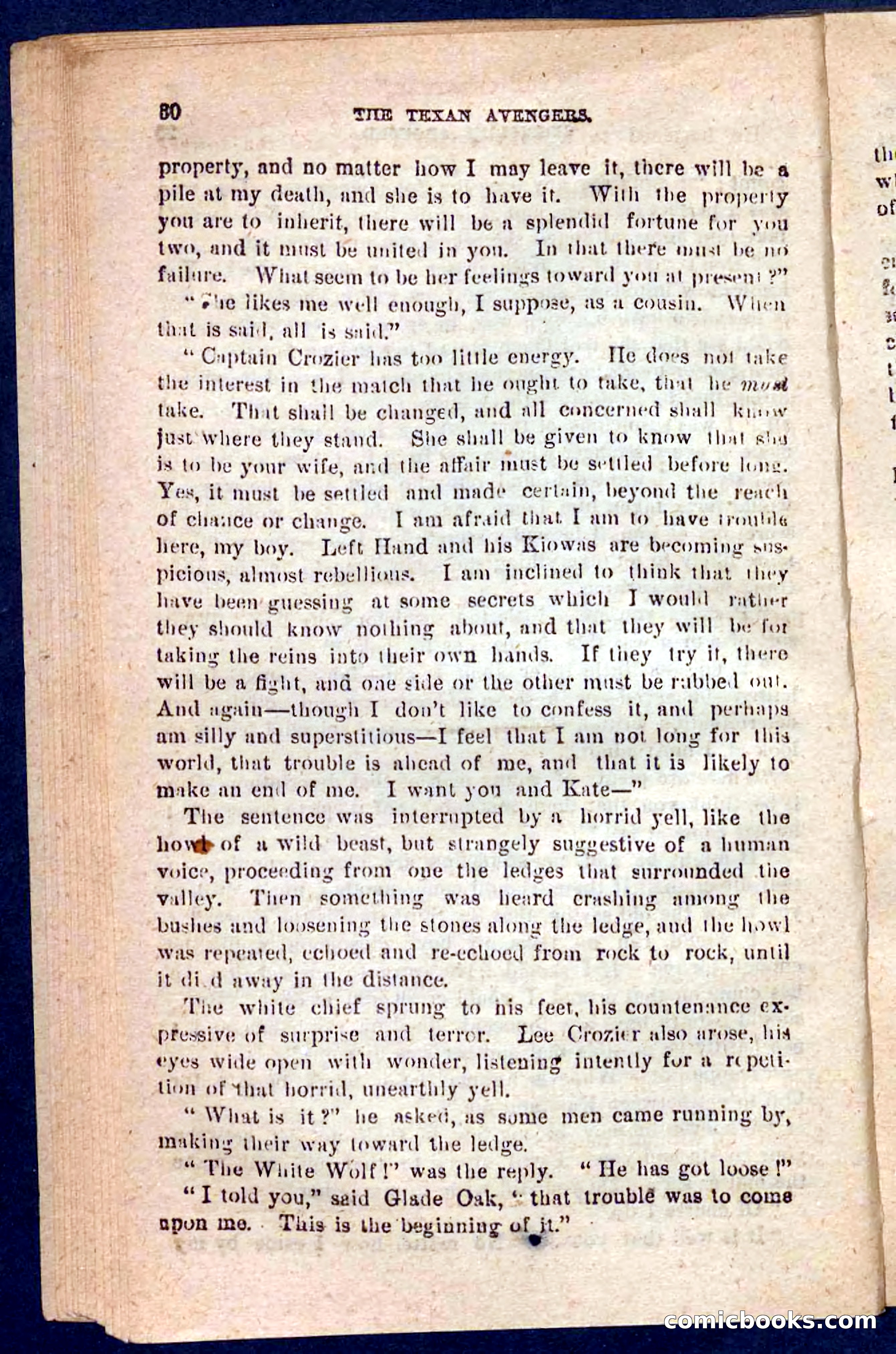 The Texas Tiger — page 26 of 100