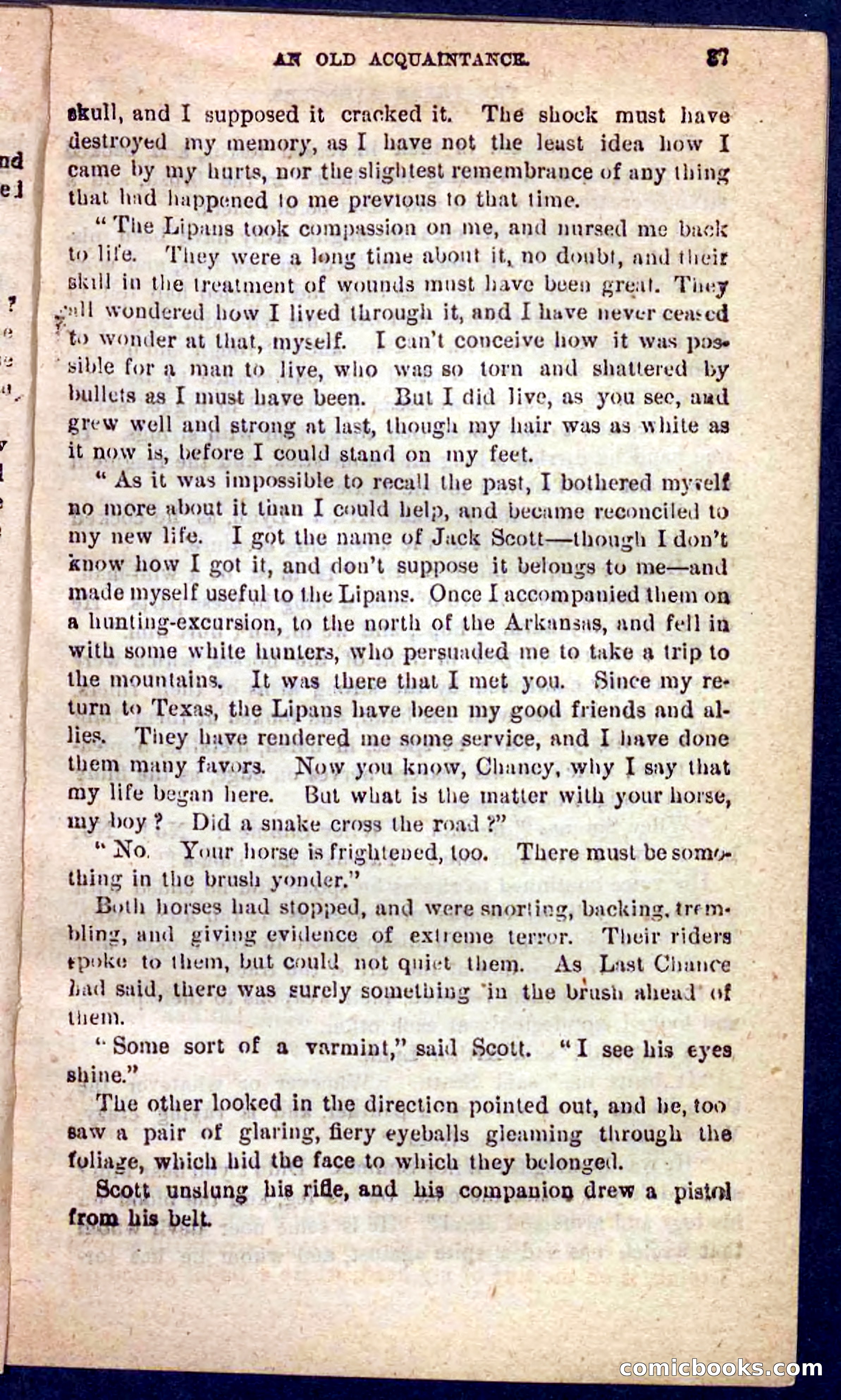 The Texas Tiger — page 33 of 100