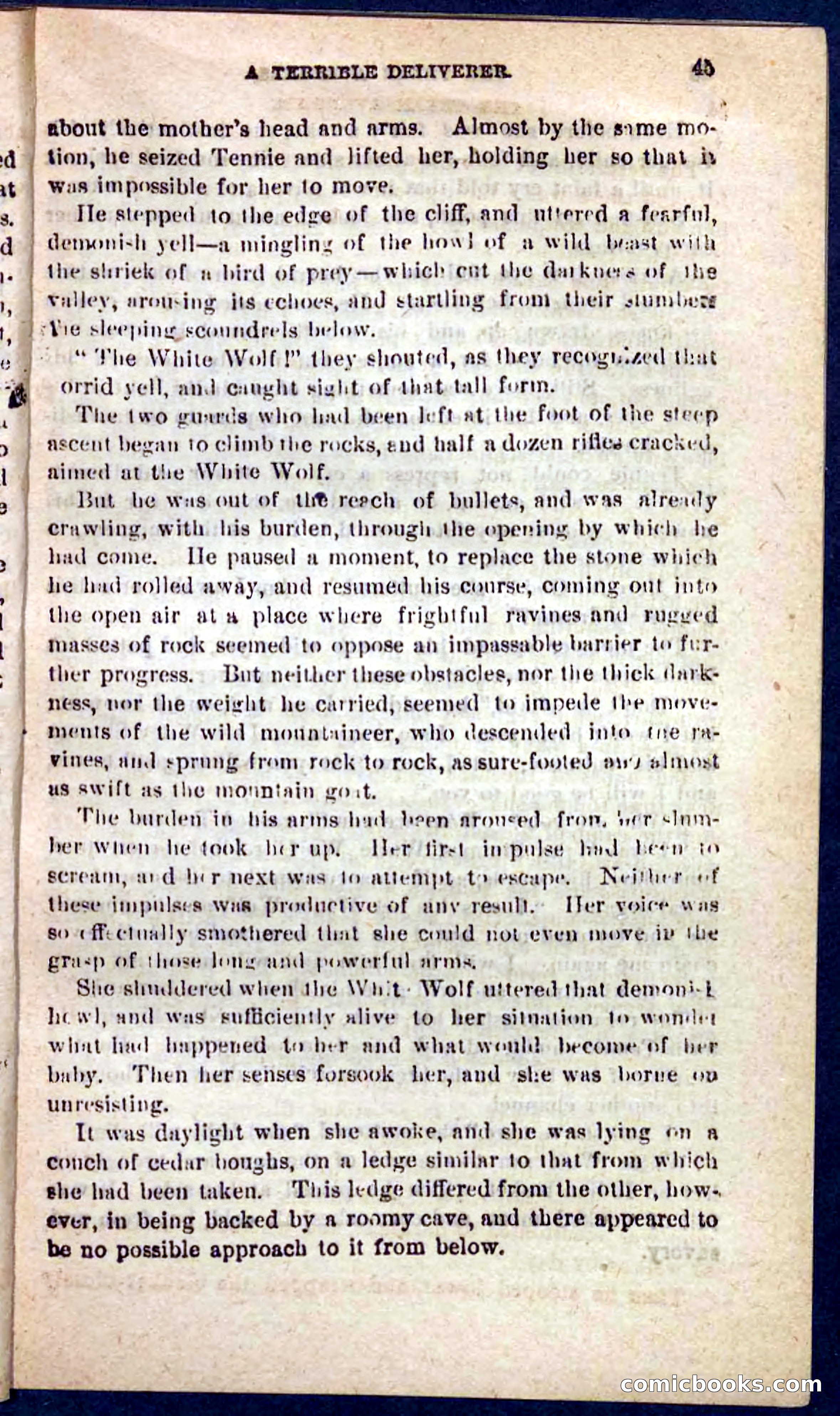 The Texas Tiger — page 41 of 100