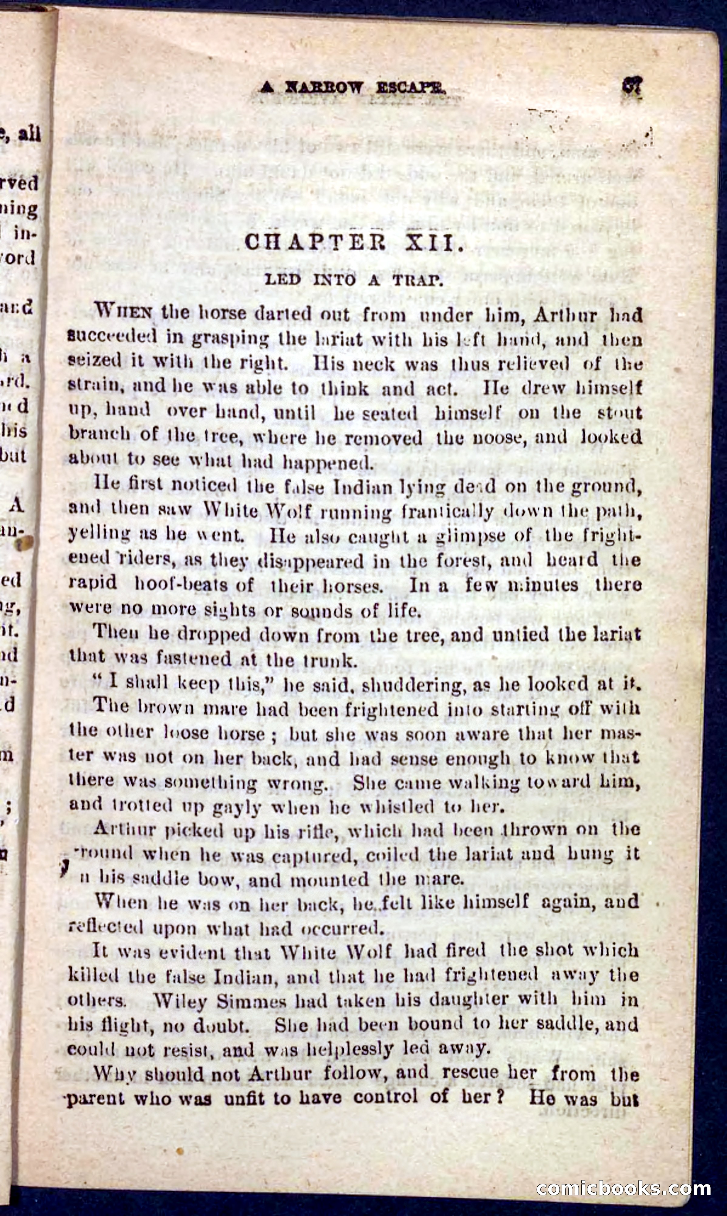 The Texas Tiger — page 63 of 100