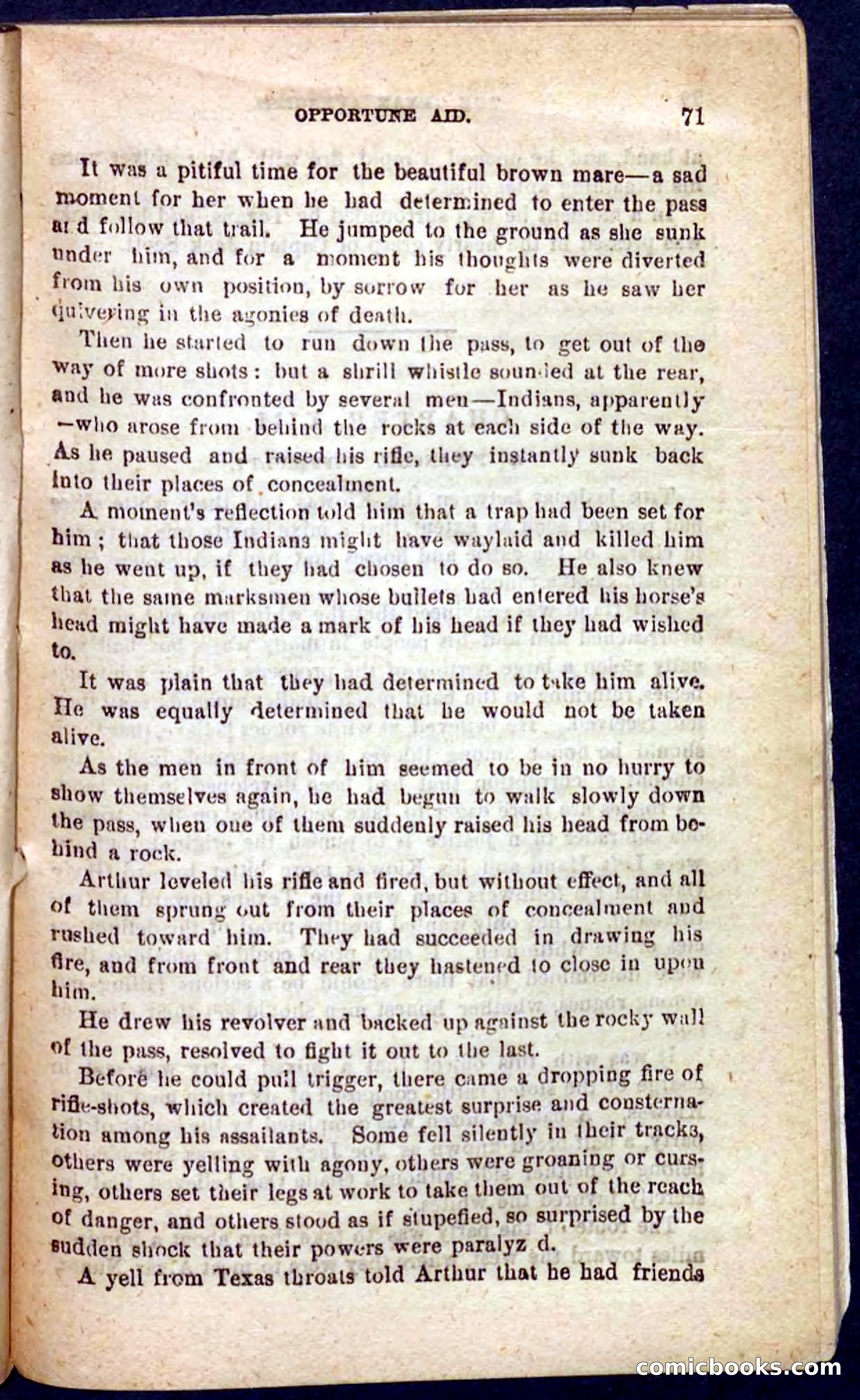 The Texas Tiger — page 67 of 100
