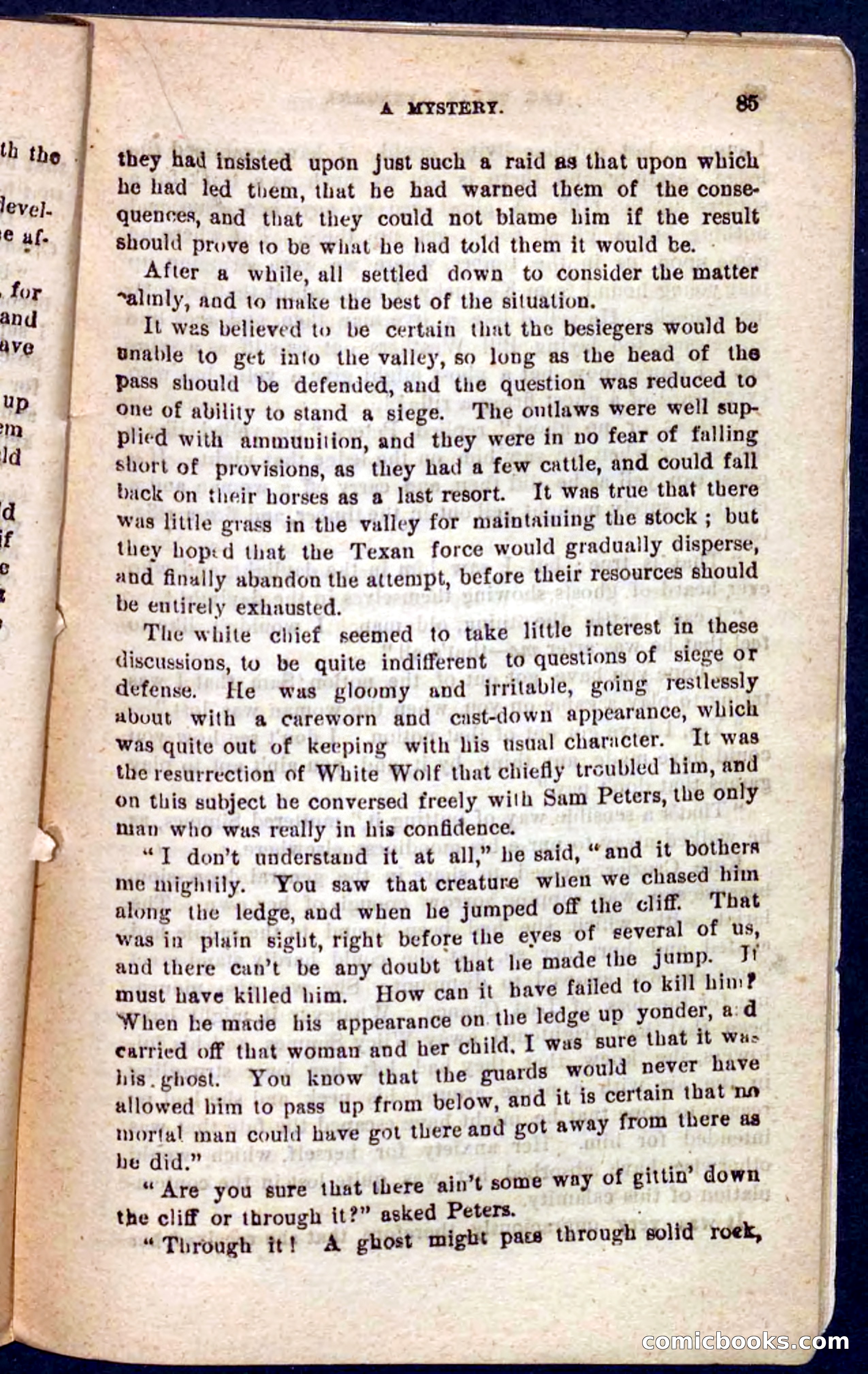 The Texas Tiger — page 81 of 100