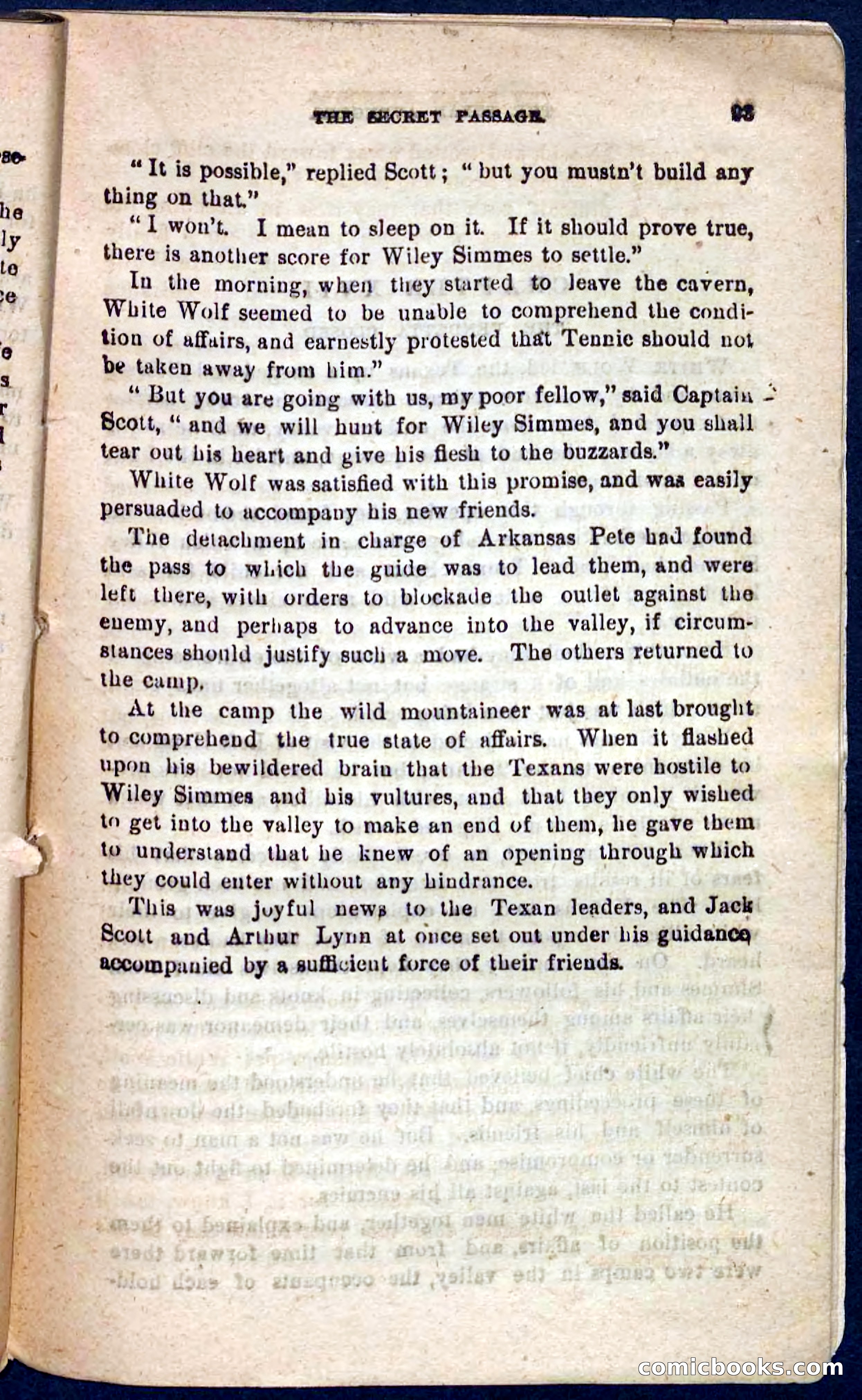 The Texas Tiger — page 89 of 100