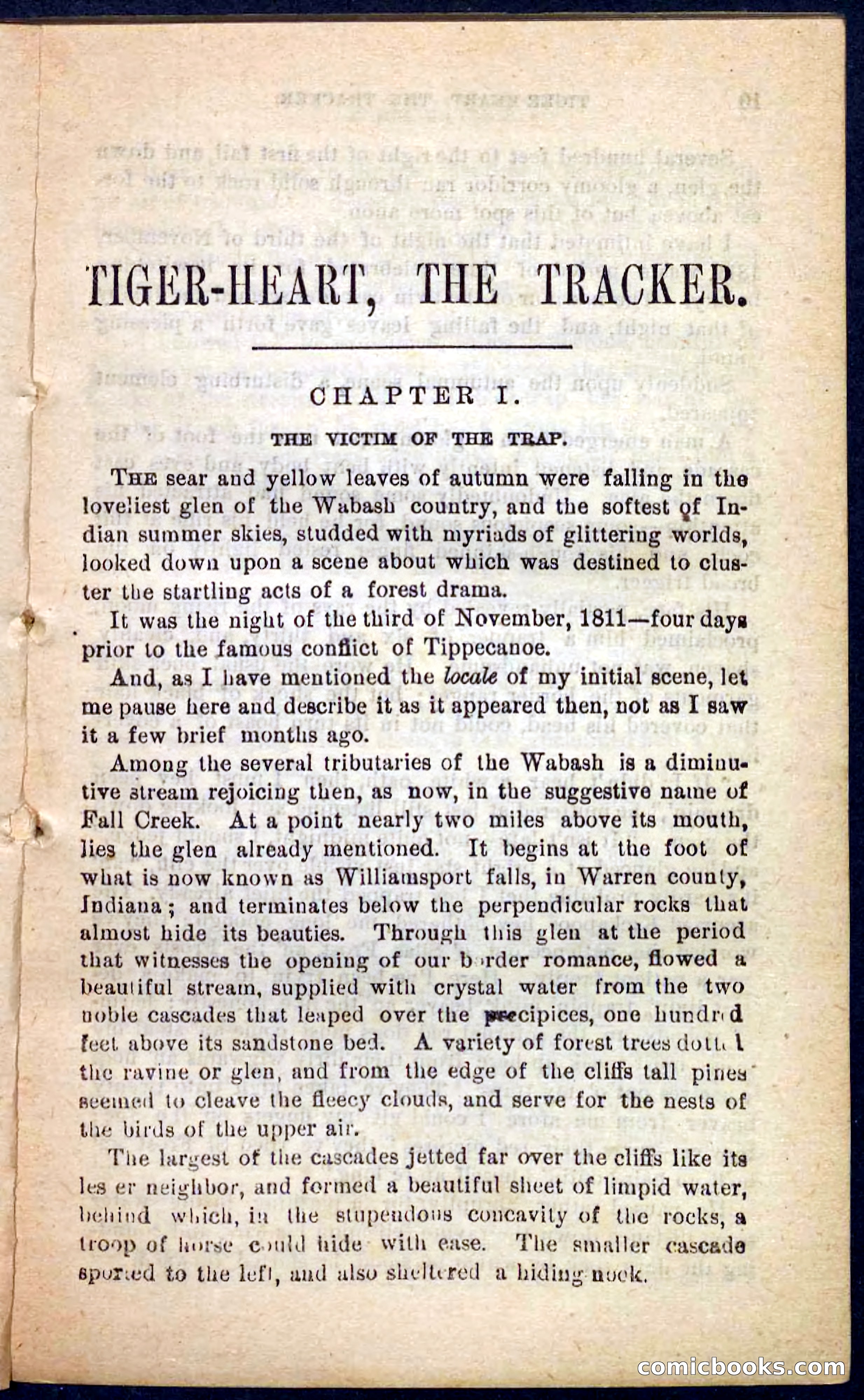 Tiger-Heart, the Tracker — page 5 of 100