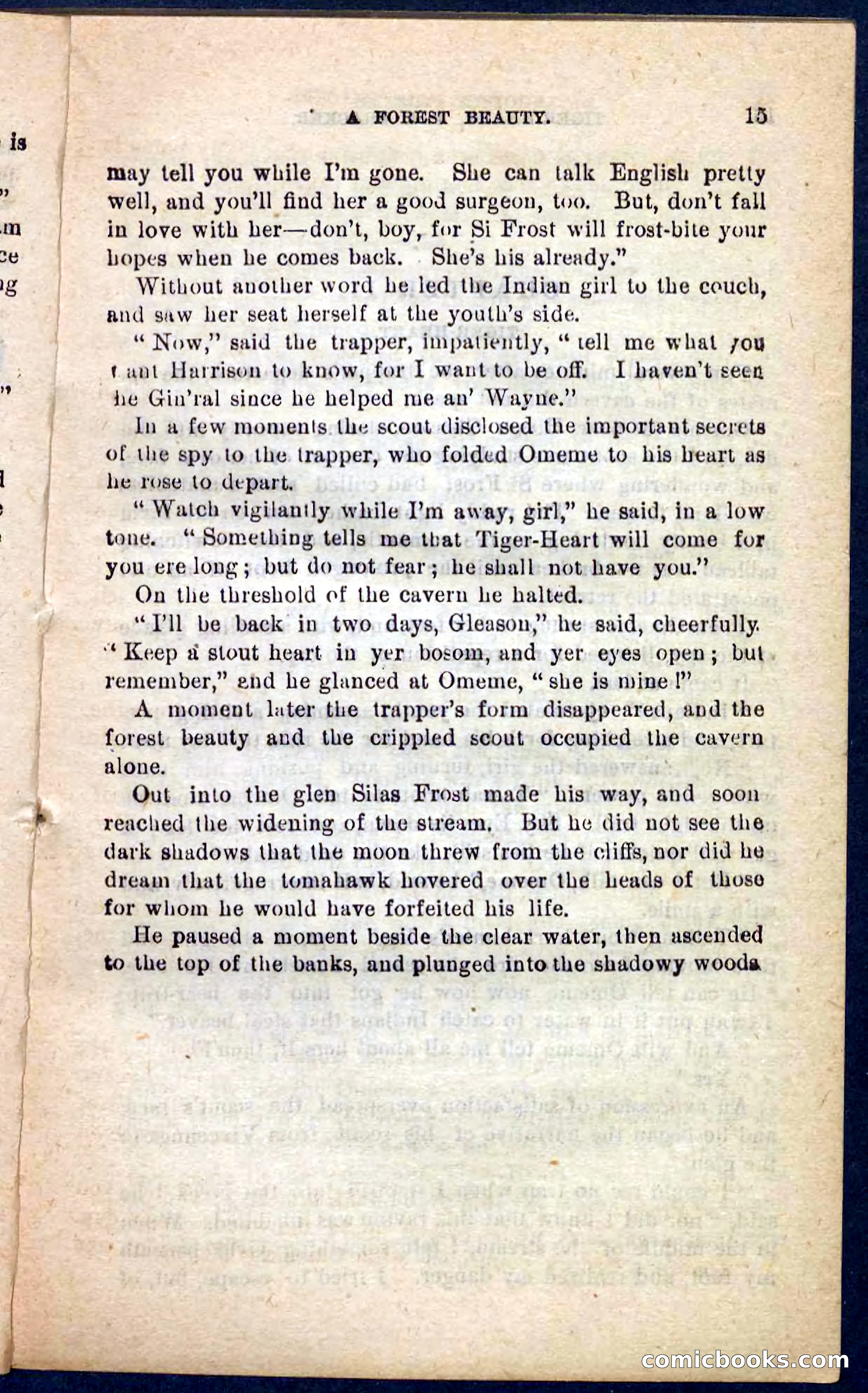 Tiger-Heart, the Tracker — page 11 of 100