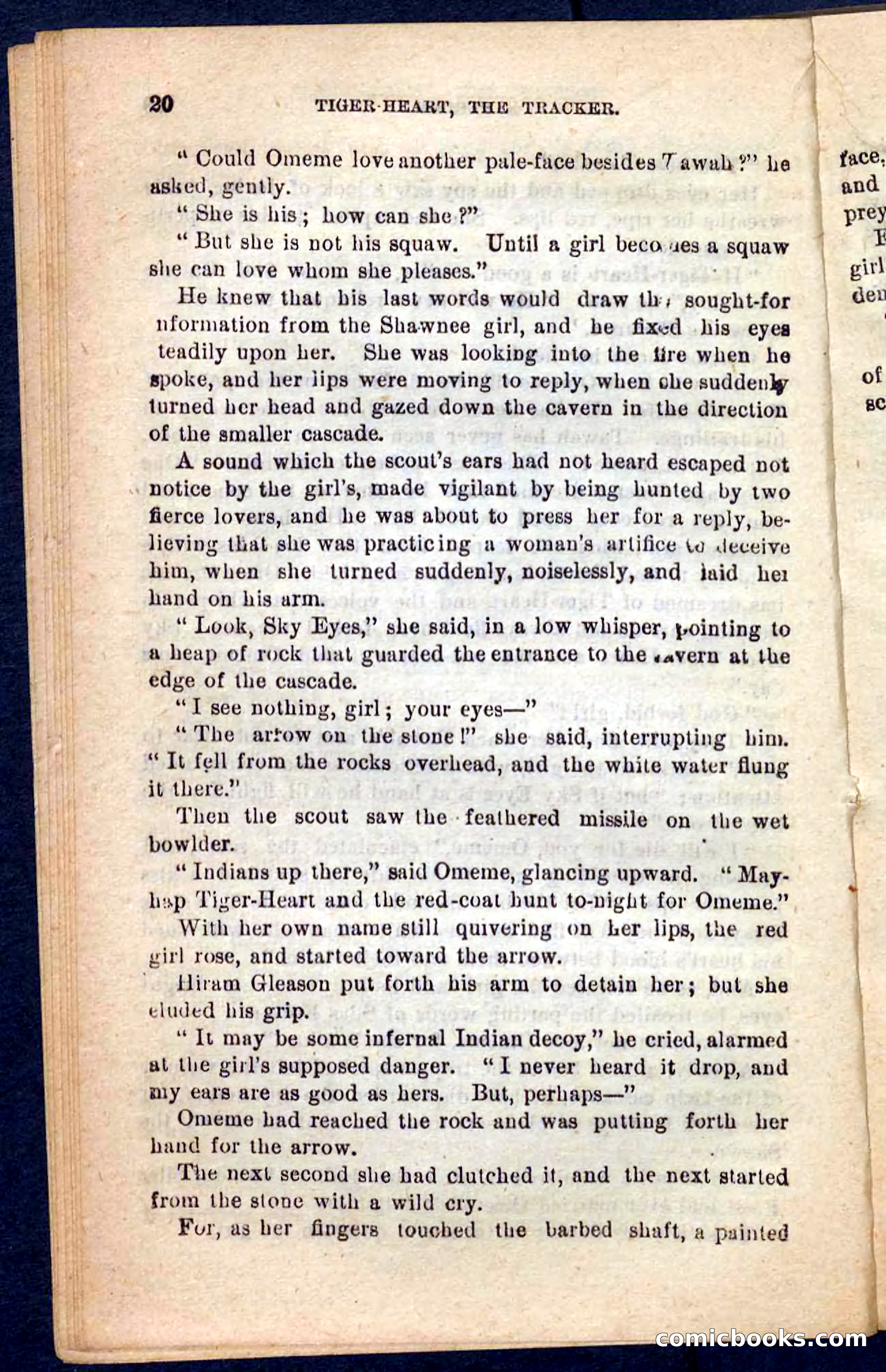 Tiger-Heart, the Tracker — page 16 of 100