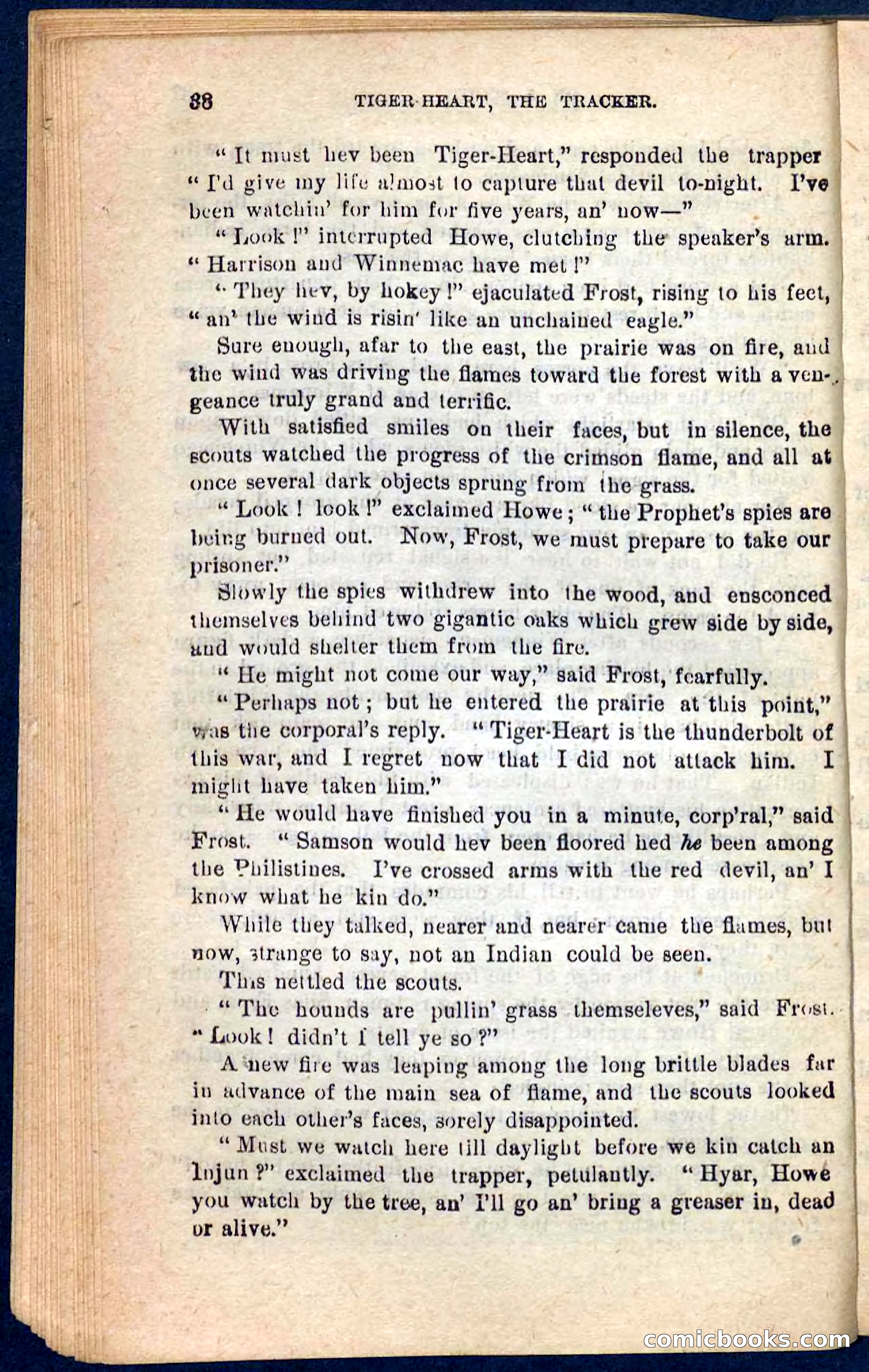 Tiger-Heart, the Tracker — page 34 of 100