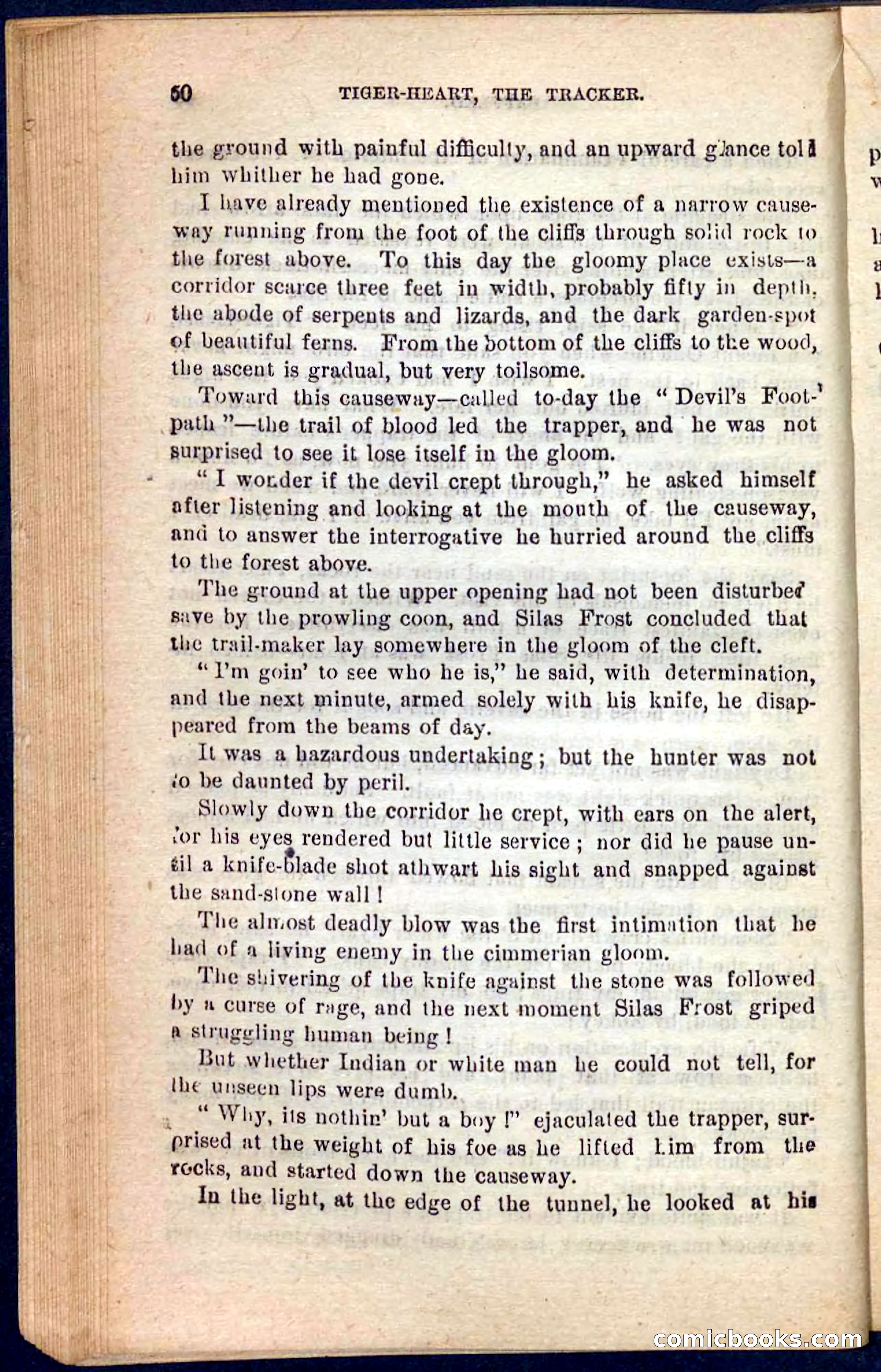Tiger-Heart, the Tracker — page 46 of 100