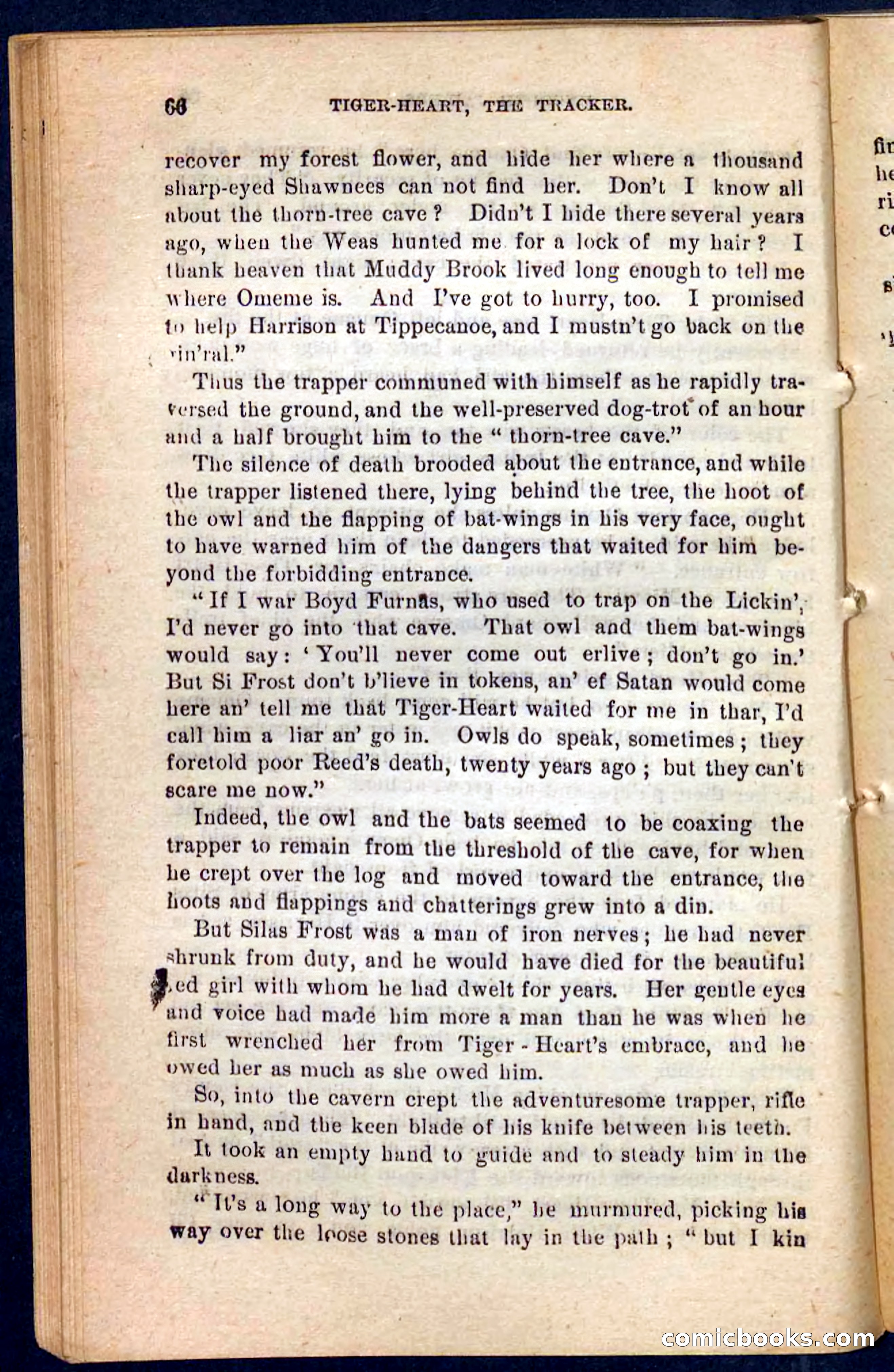 Tiger-Heart, the Tracker — page 62 of 100