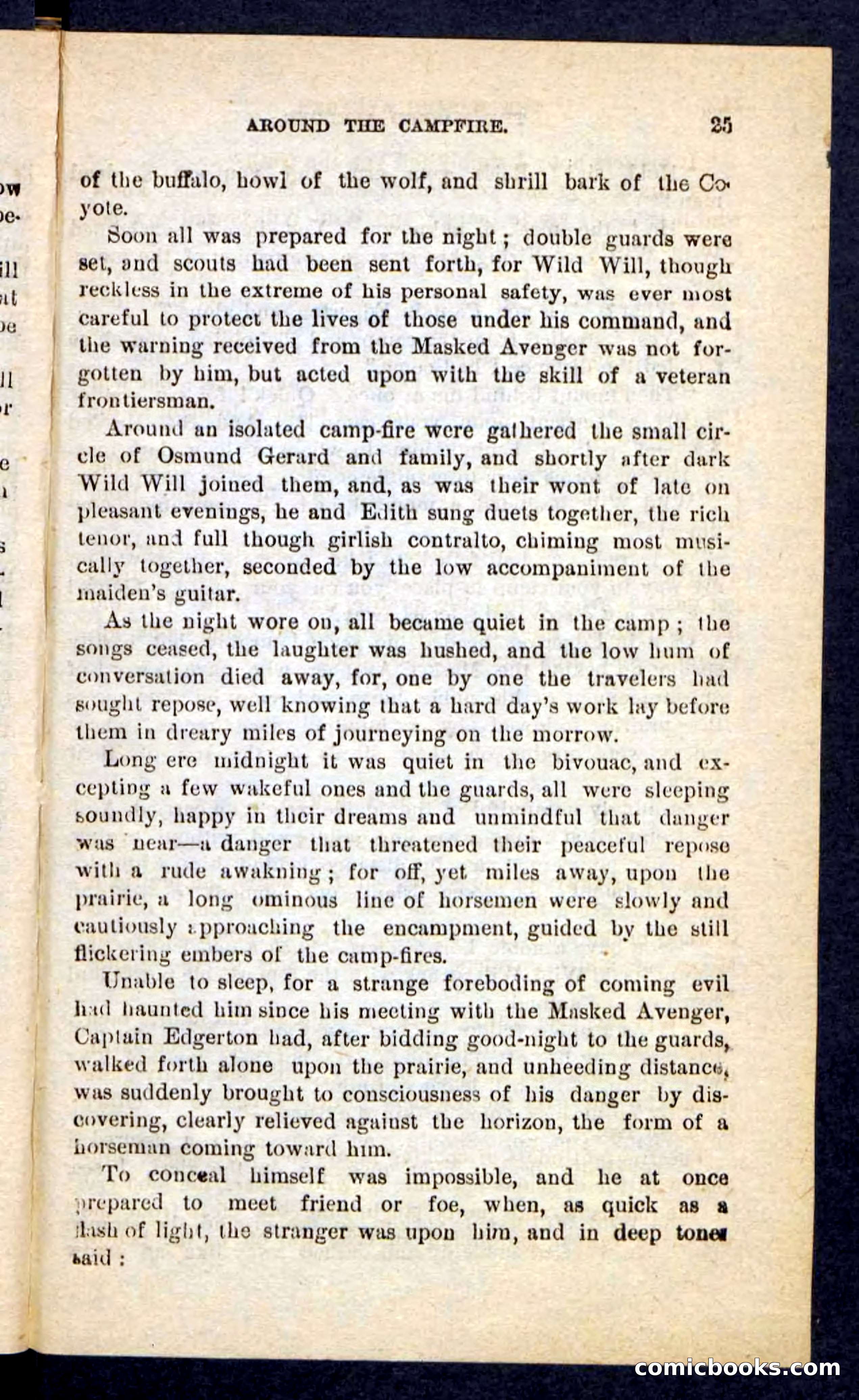 The Masked Avenger — page 21 of 100