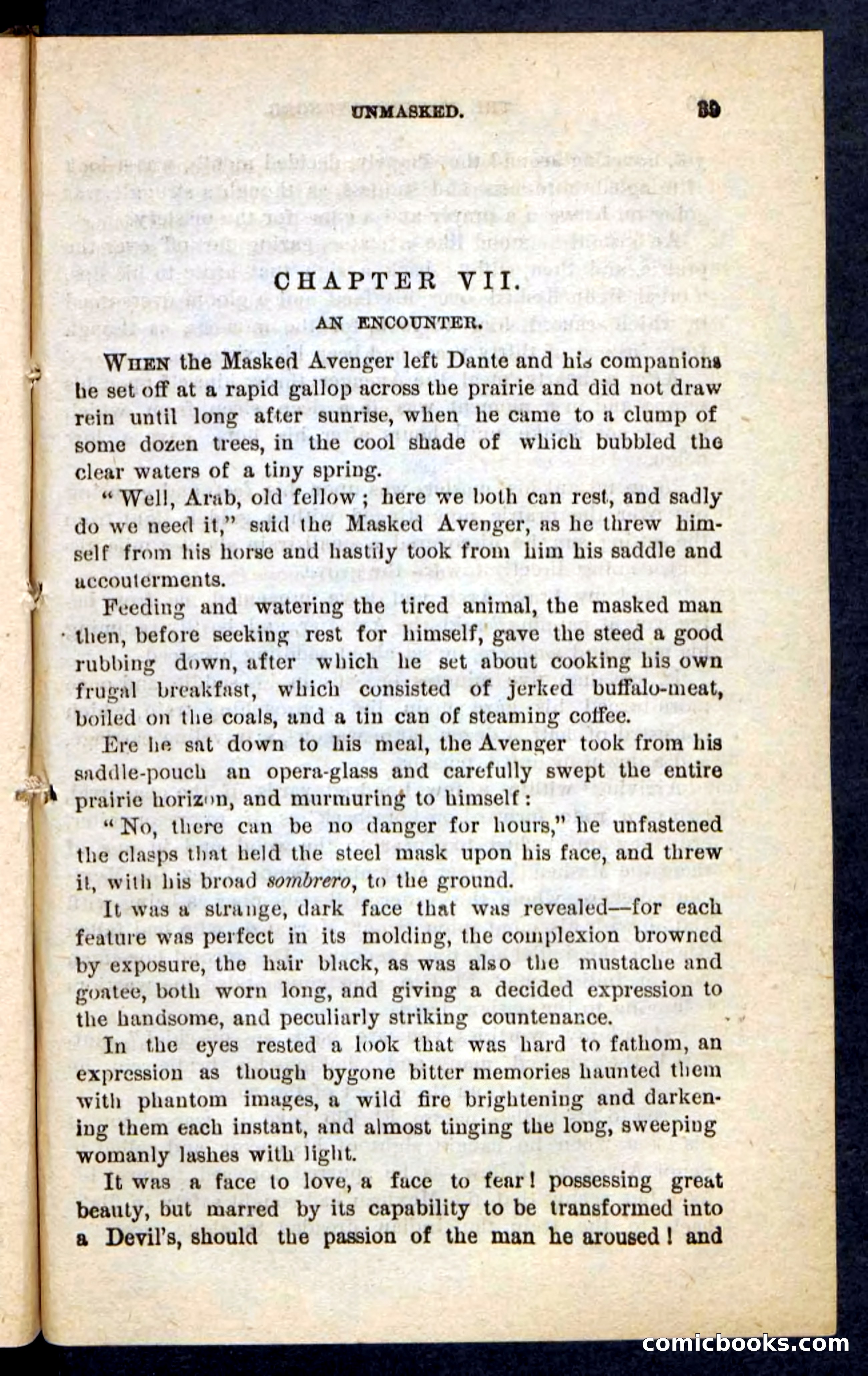 The Masked Avenger — page 35 of 100