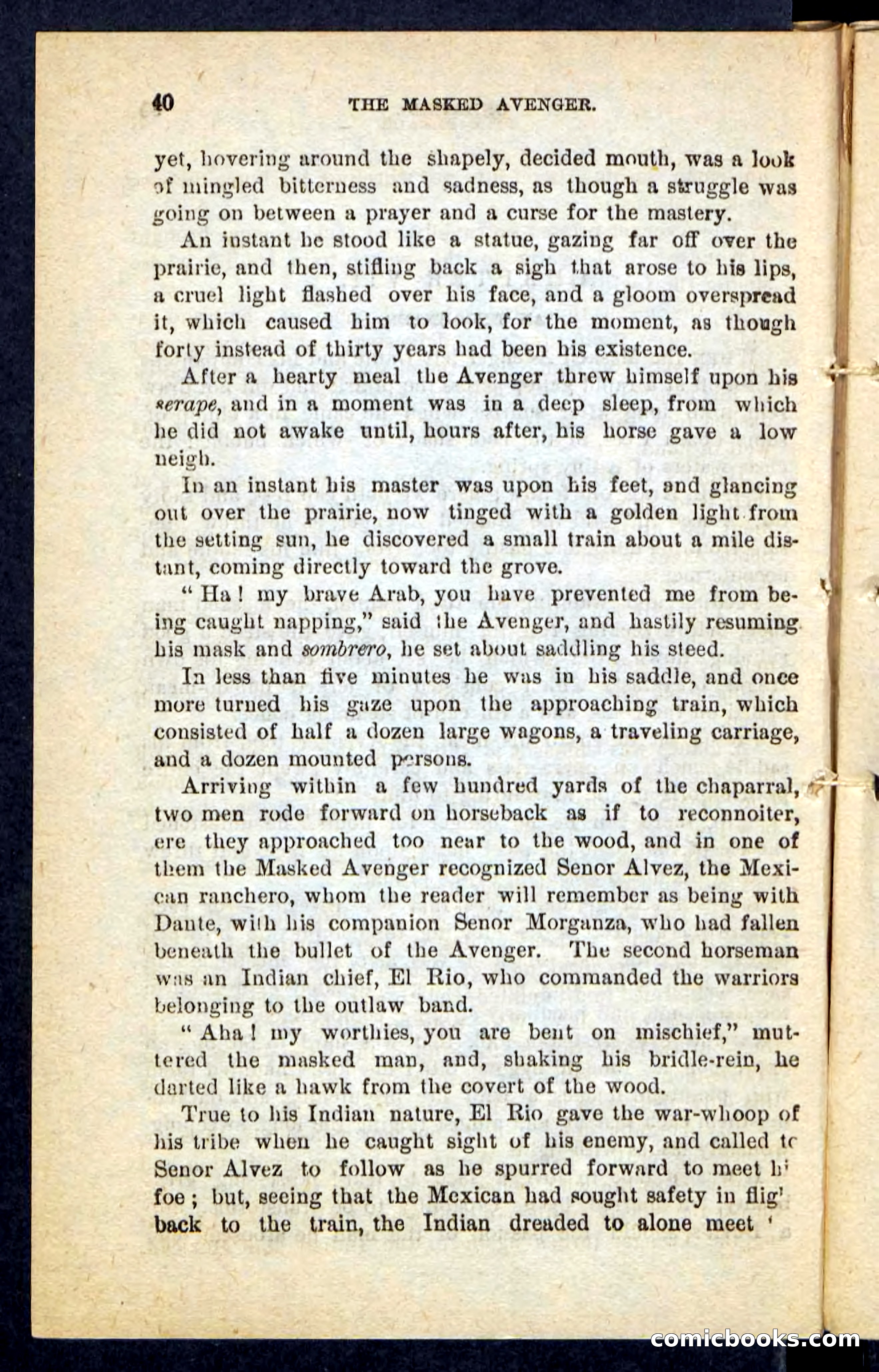 The Masked Avenger — page 36 of 100