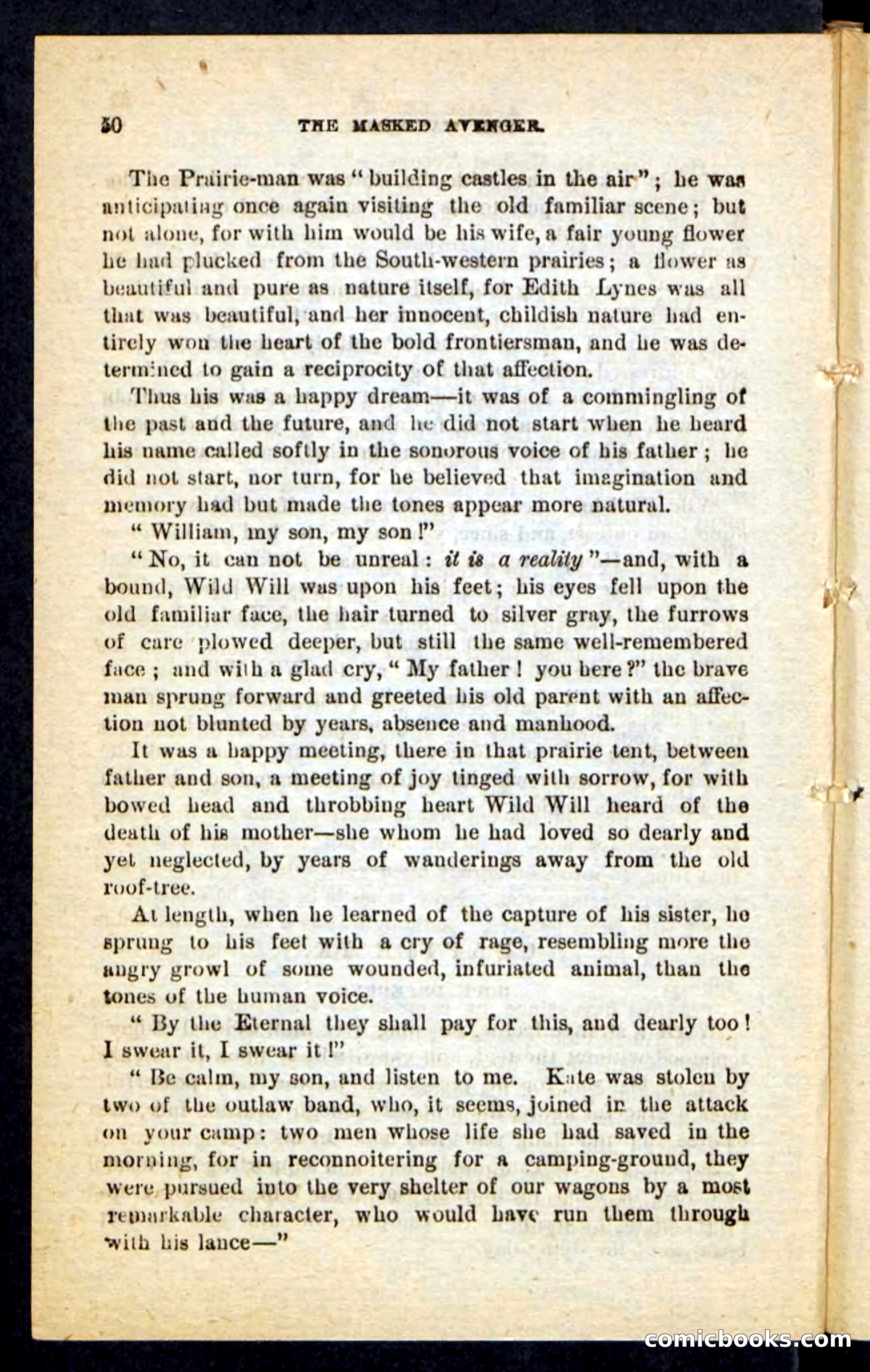 The Masked Avenger — page 46 of 100