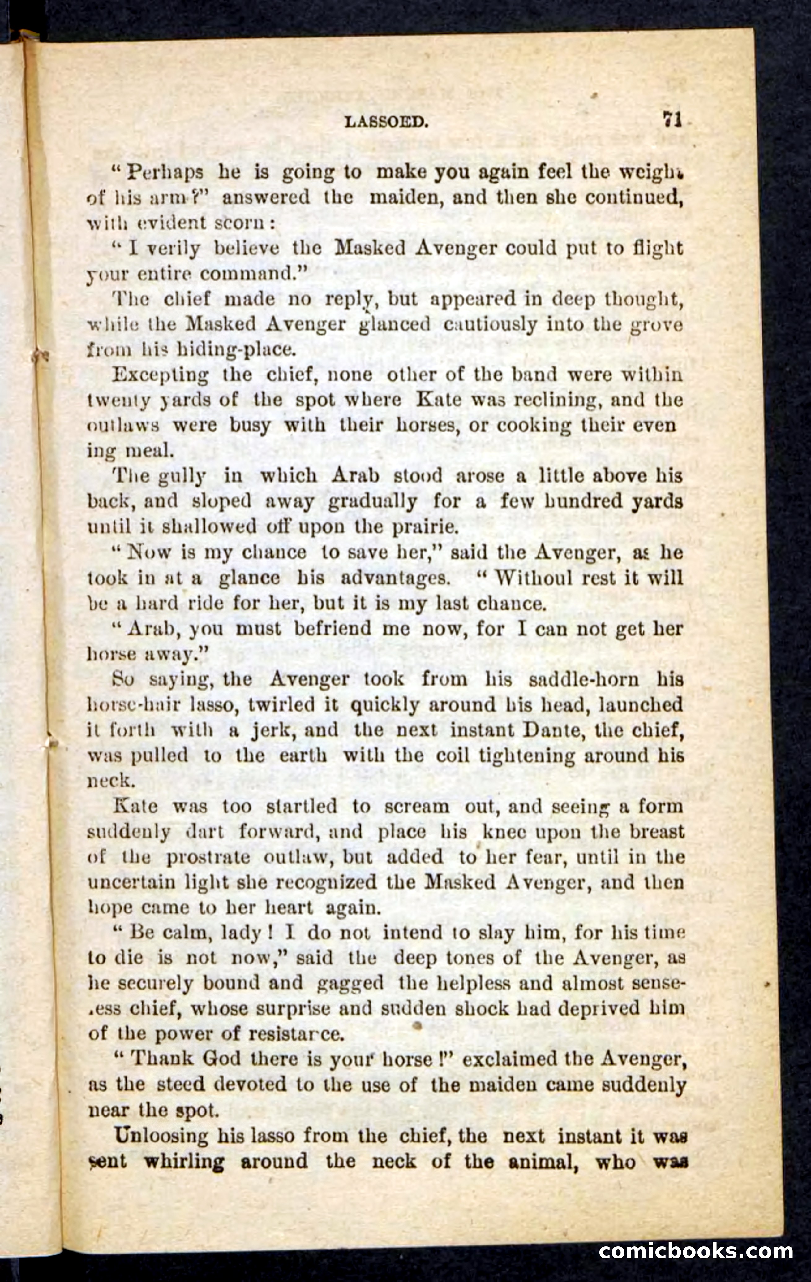 The Masked Avenger — page 67 of 100