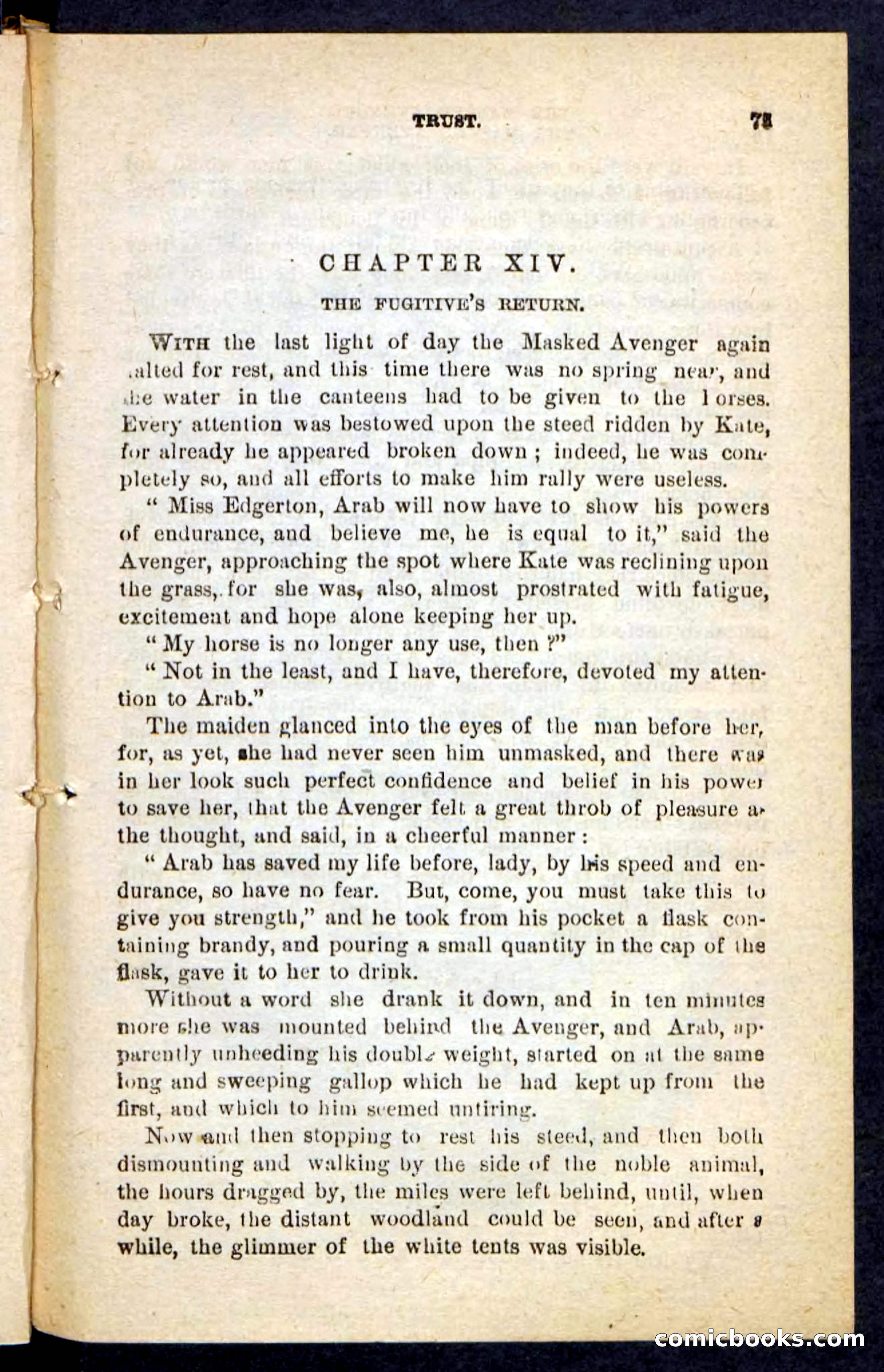 The Masked Avenger — page 71 of 100