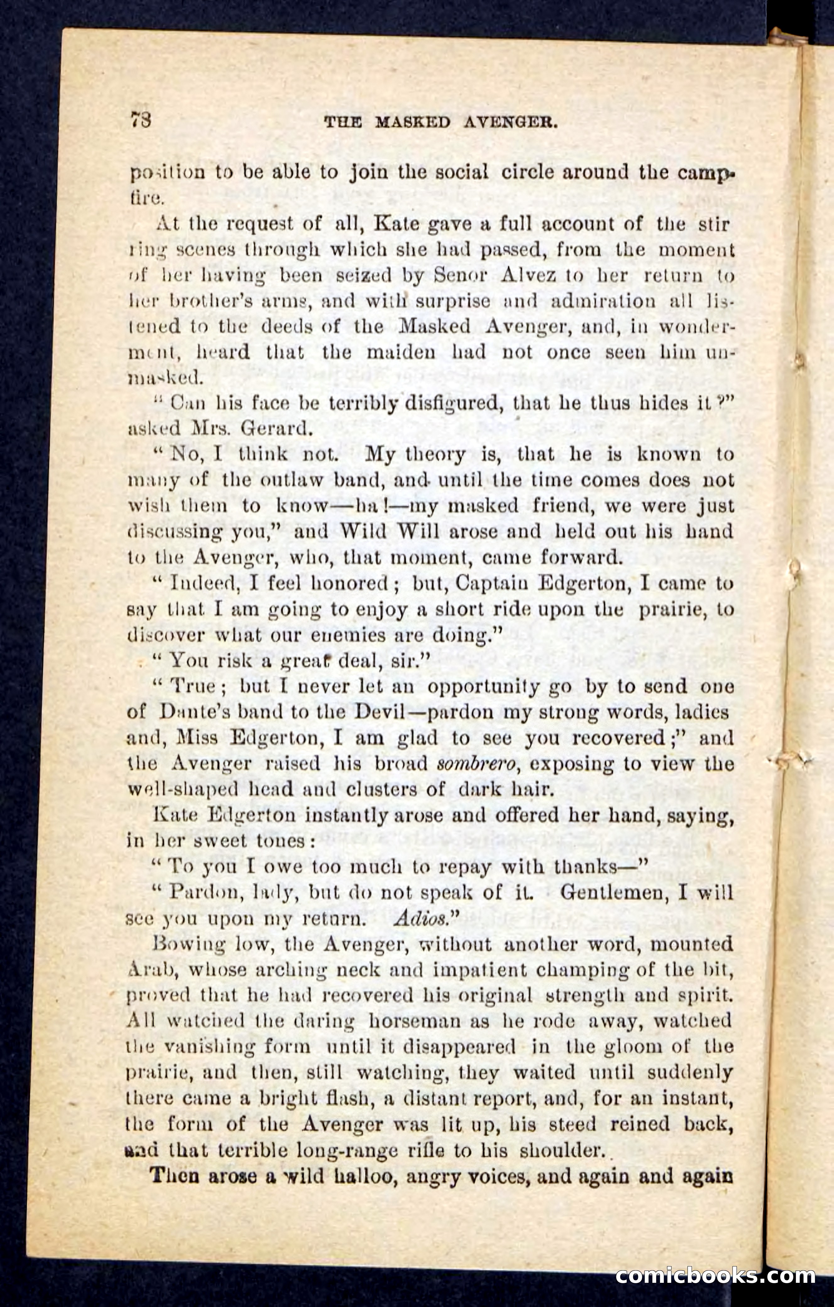 The Masked Avenger — page 74 of 100