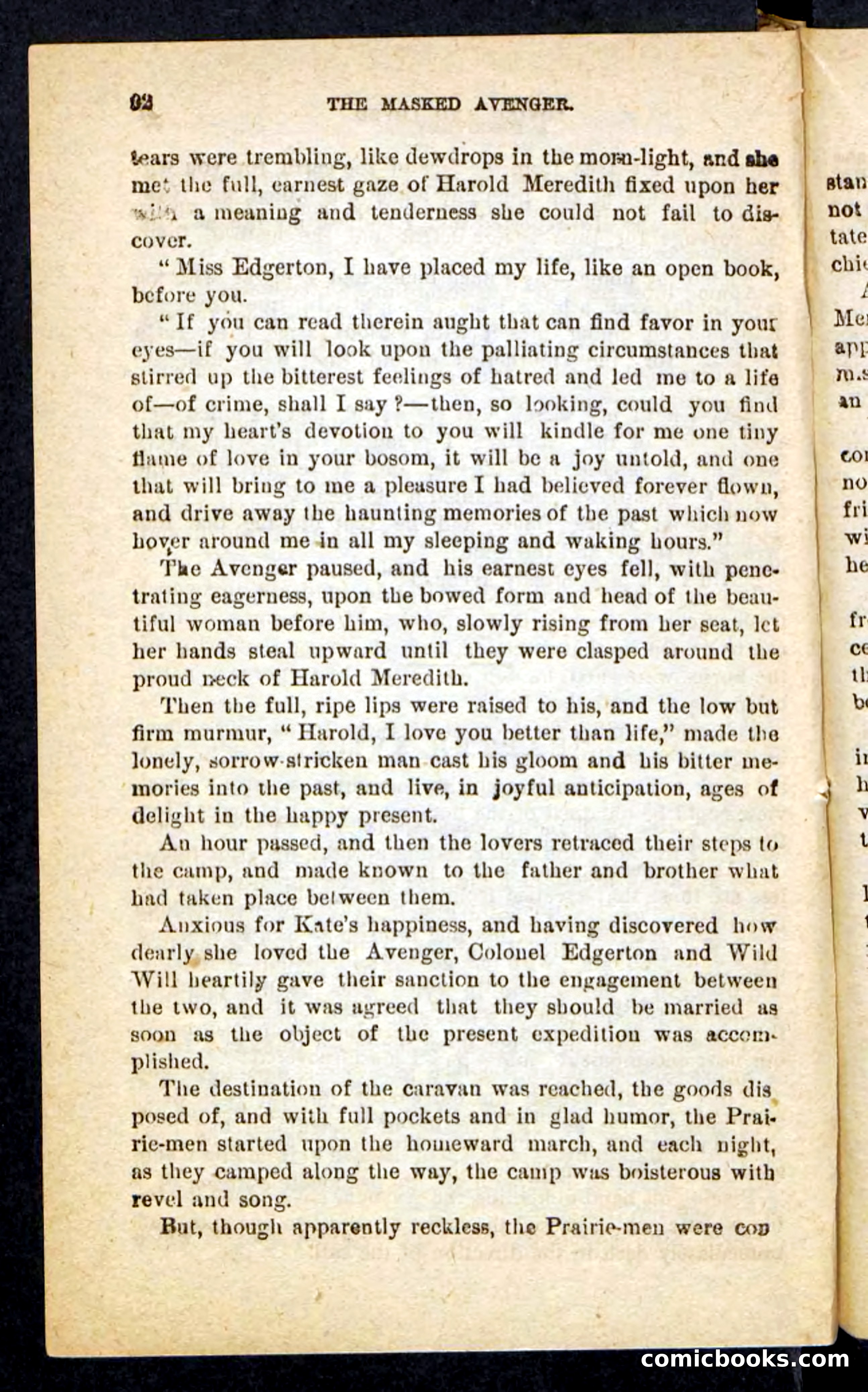 The Masked Avenger — page 88 of 100