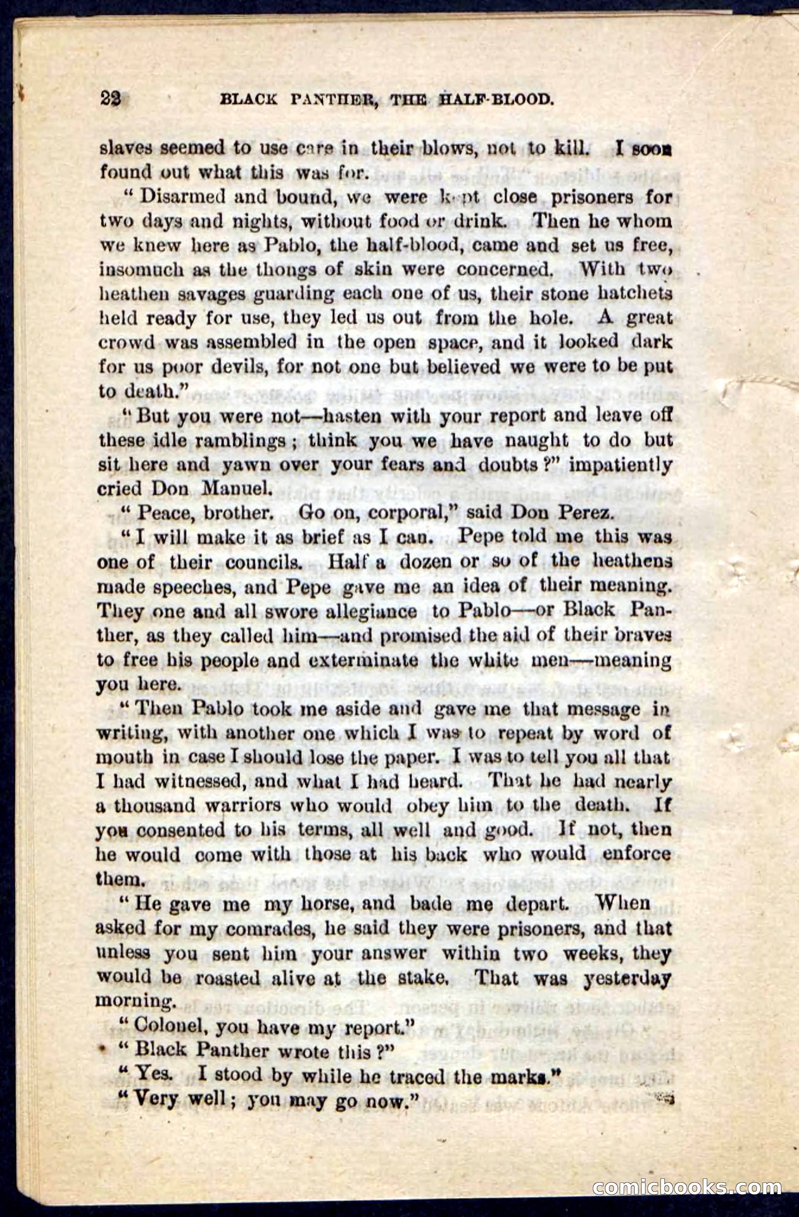Black Panther — page 18 of 100