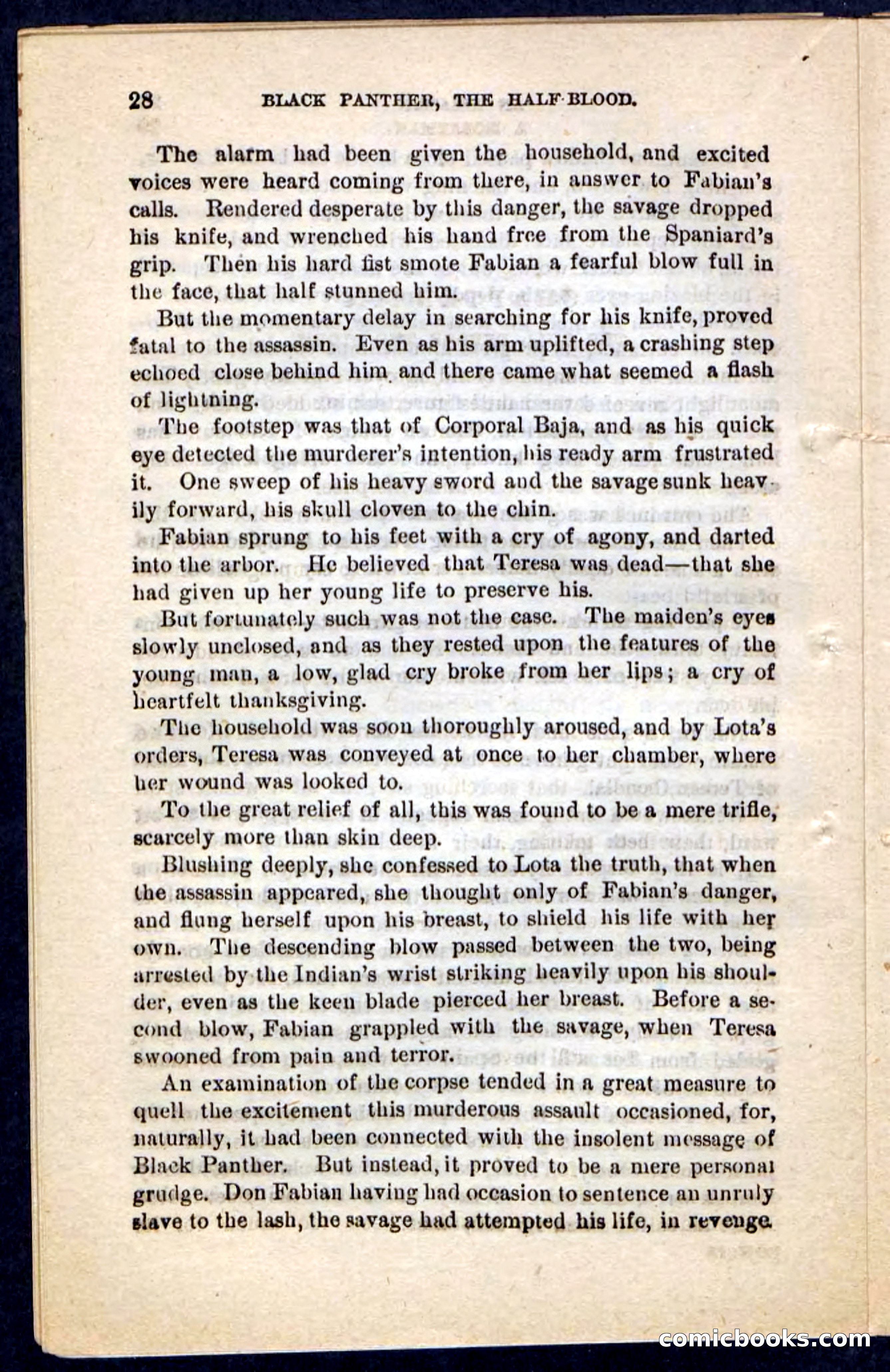 Black Panther — page 24 of 100