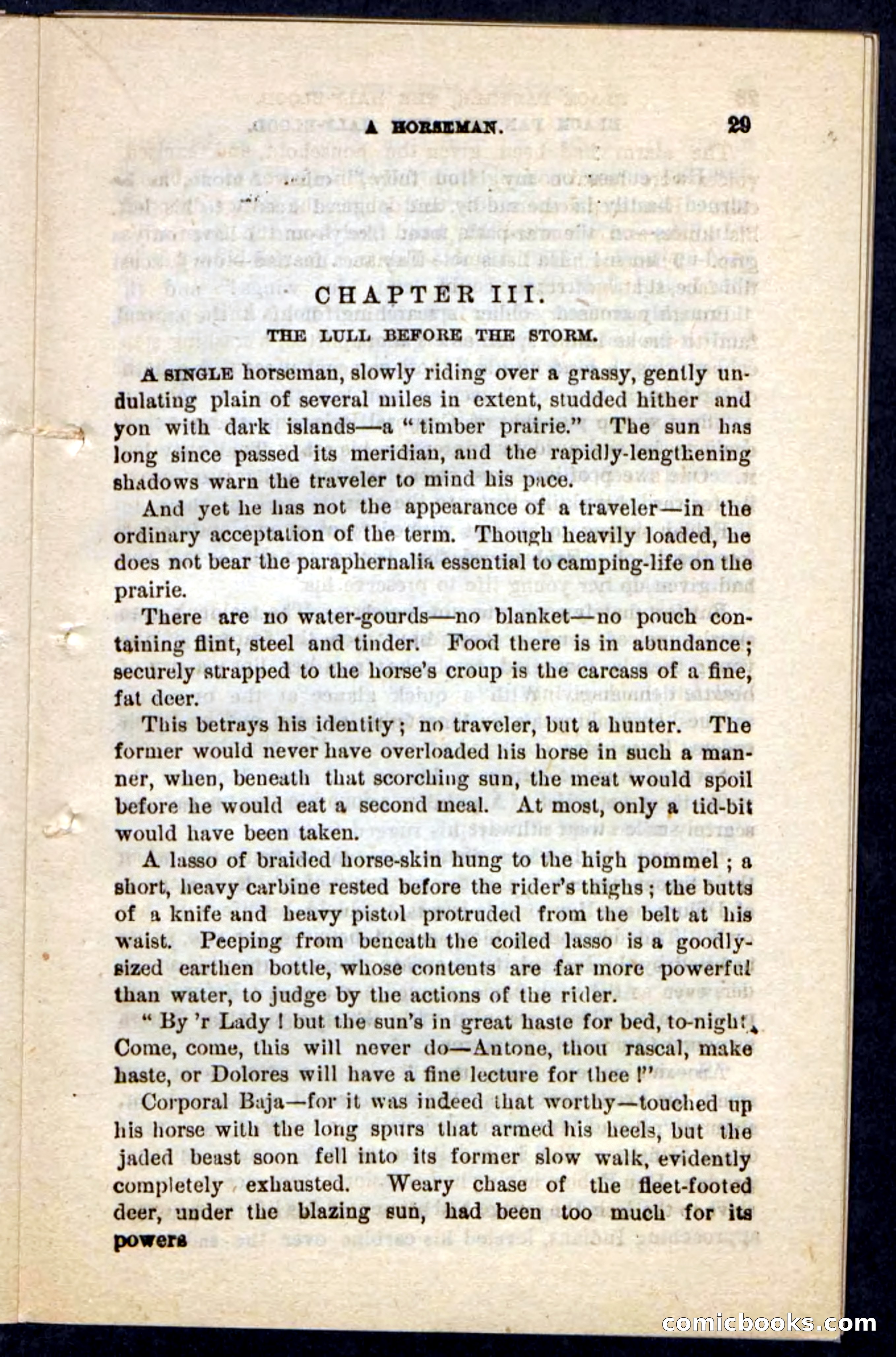Black Panther — page 25 of 100