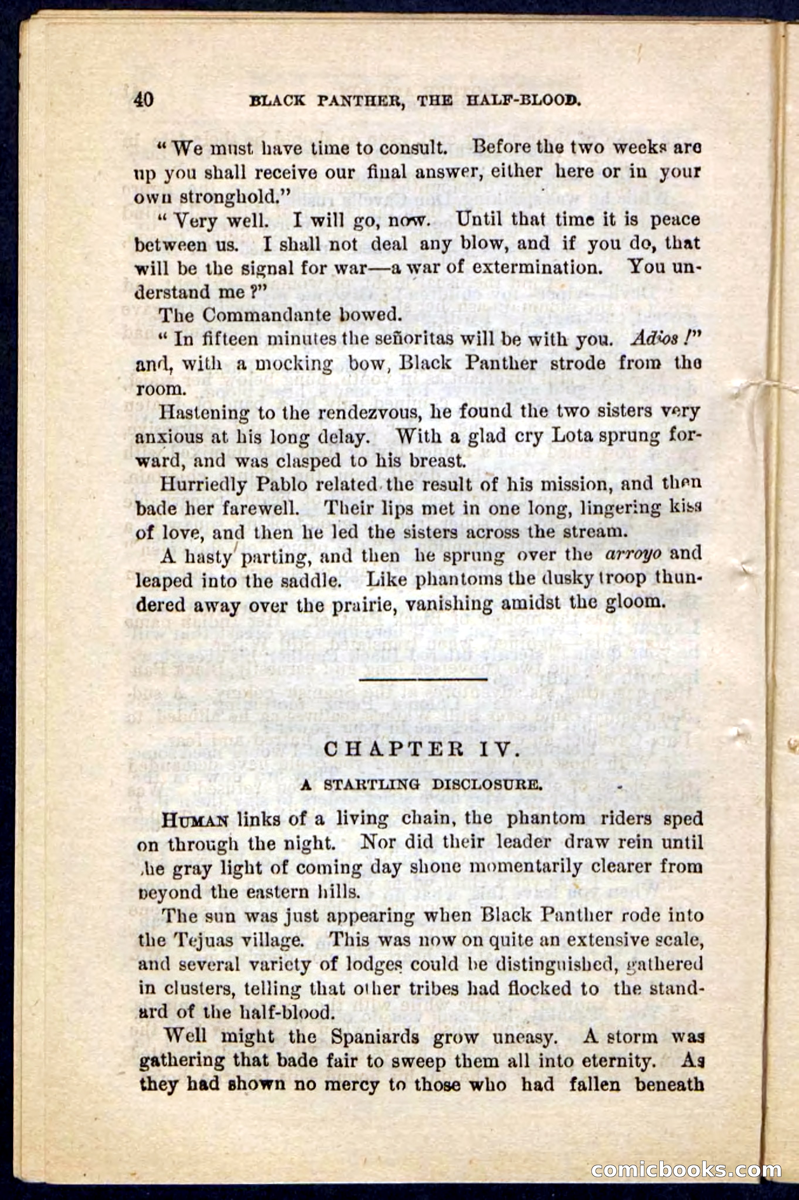 Black Panther — page 36 of 100